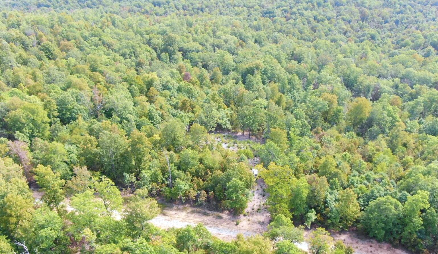 Photo 8 - Land for sale – 000  Db Tract 23   Pomona, MO