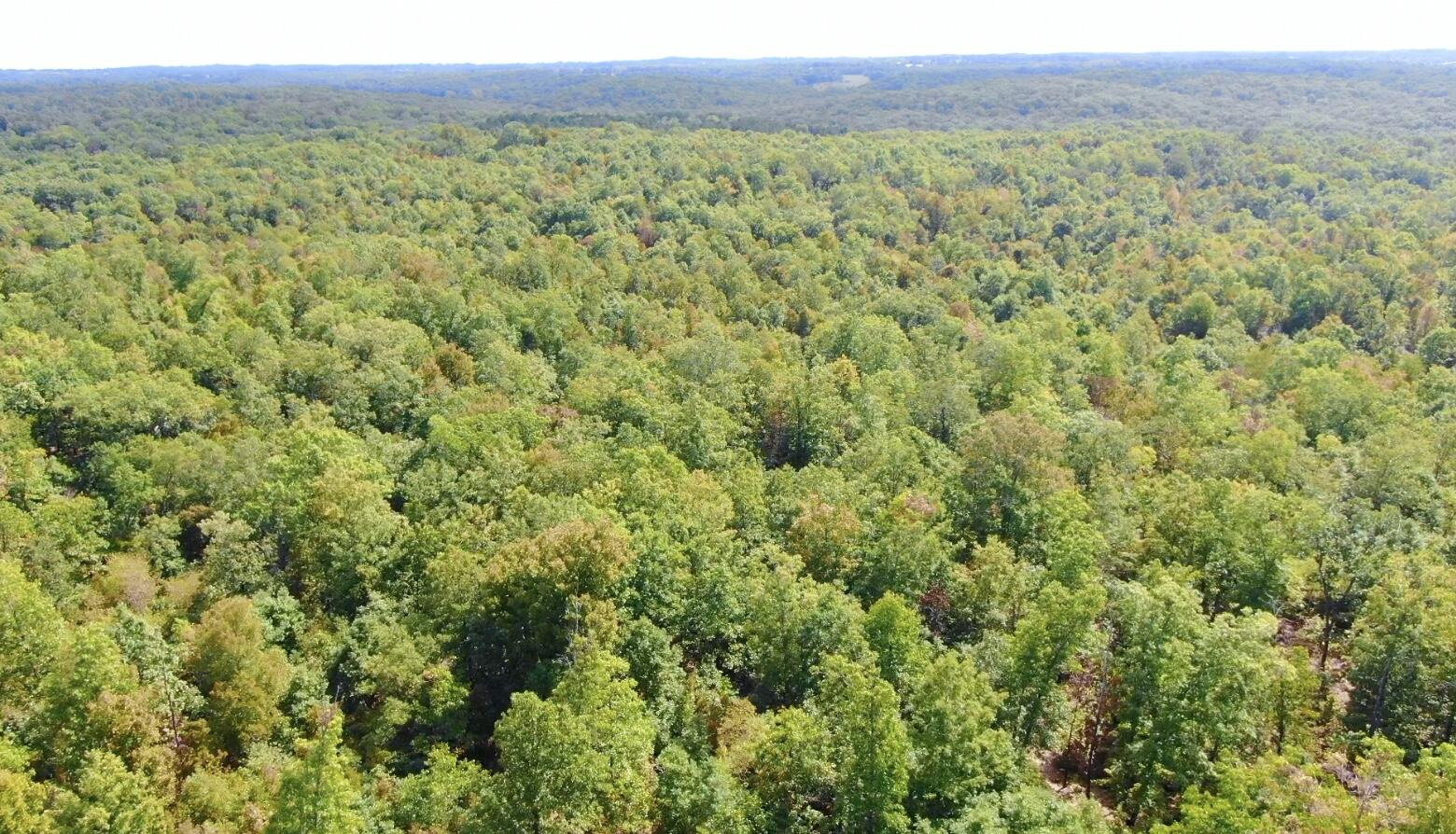 Photo 9 - Land for sale – 000  Db Tract 23   Pomona, MO