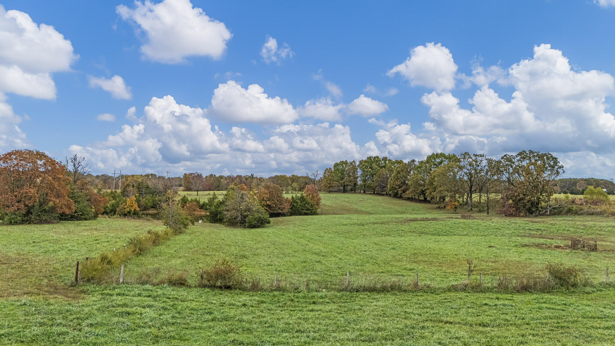 Photo 64 - Farm for sale – 7291  State Route   Peace Valley, MO