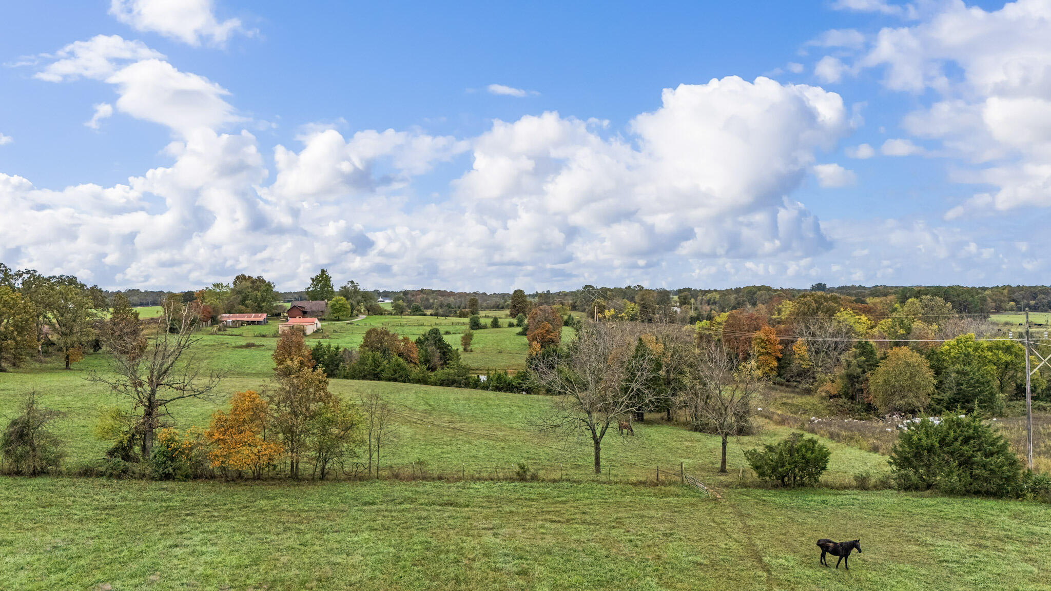 Photo 38 - Farm for sale – 7291  State Route   Peace Valley, MO