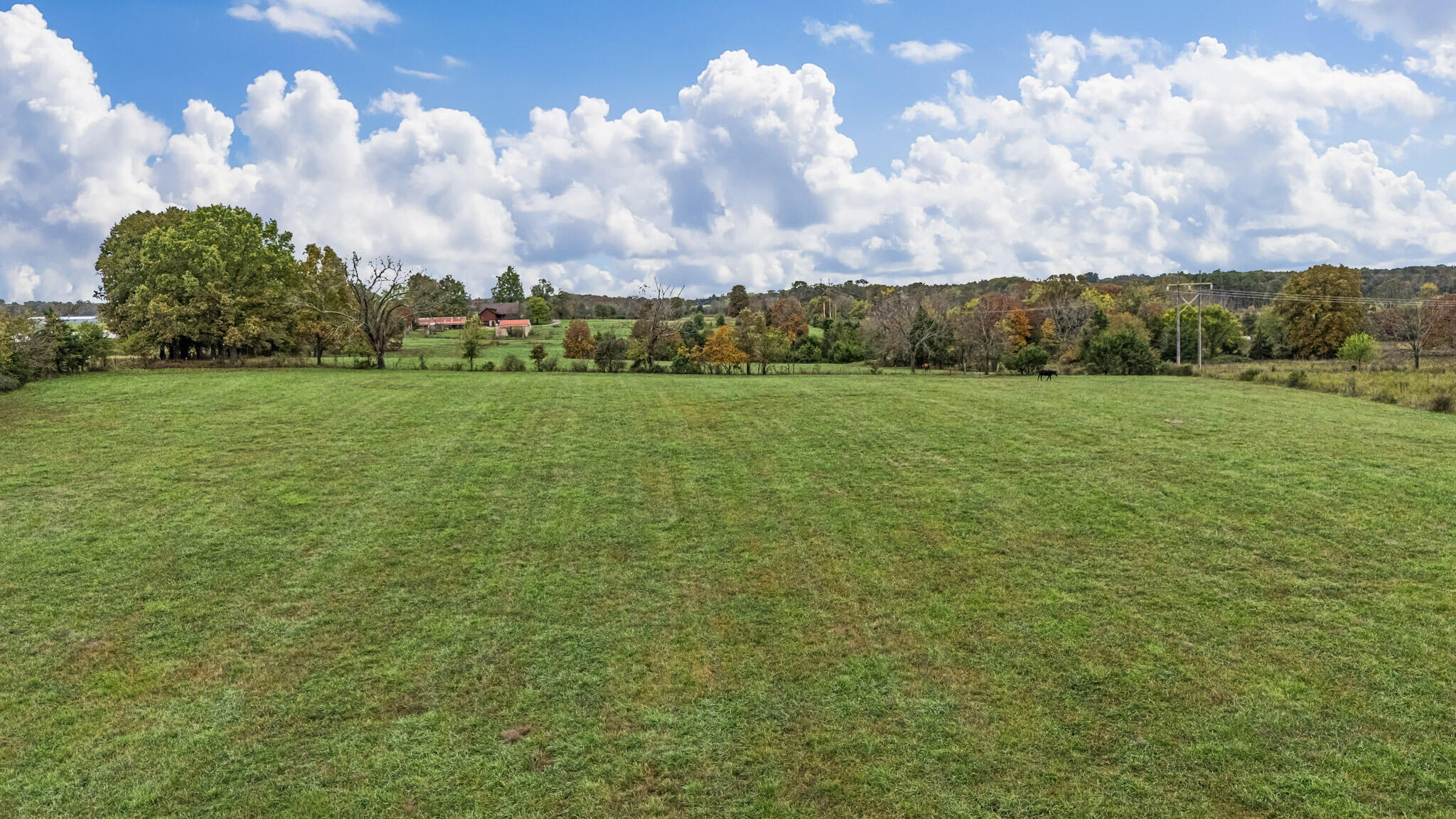 Photo 52 - Farm for sale – 7291  State Route   Peace Valley, MO