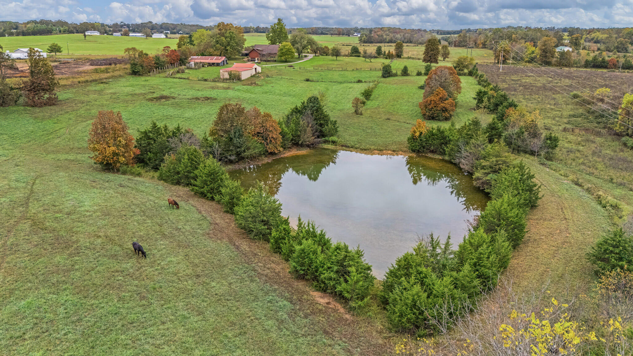 Photo 29 - Farm for sale – 7291  State Route   Peace Valley, MO