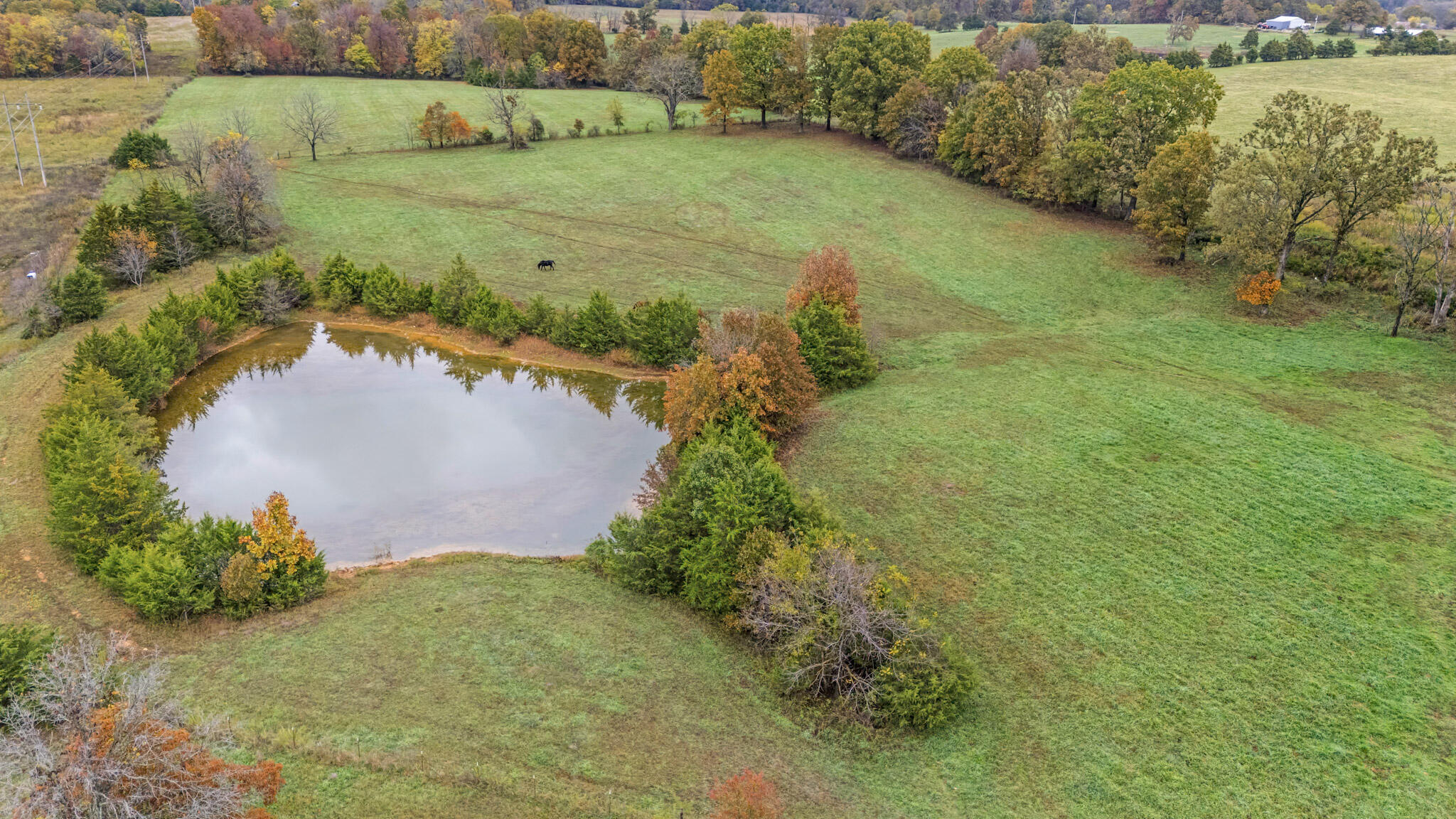 Photo 28 - Farm for sale – 7291  State Route   Peace Valley, MO