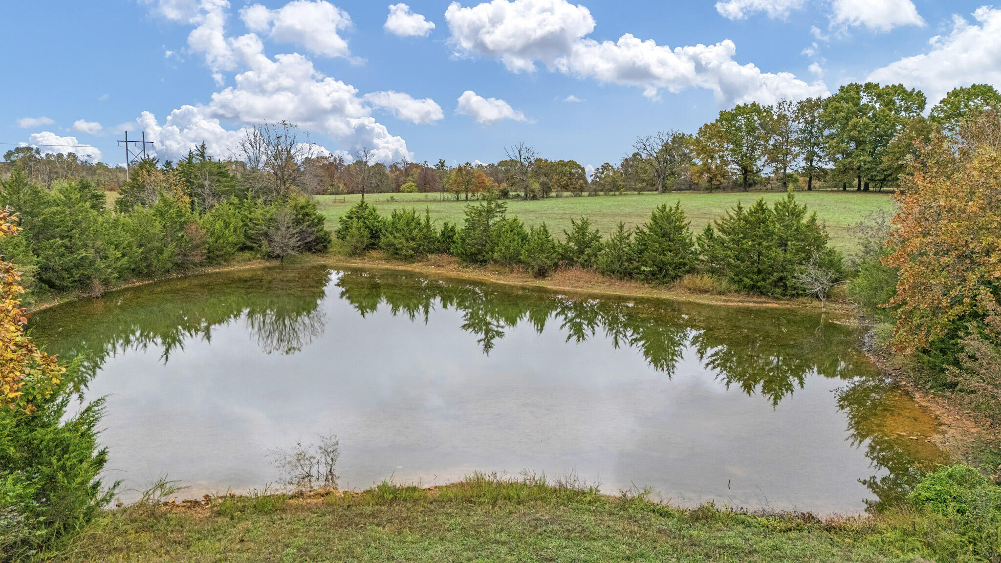 Photo 45 - Farm for sale – 7291  State Route   Peace Valley, MO