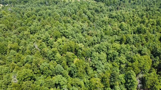 Photo 2 - Land for sale – 000  County Road 434   Birch Tree, MO