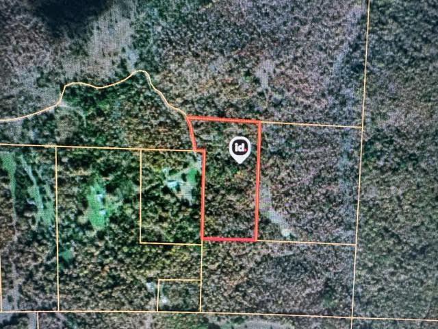 Land for sale – 000  County Road 434   Birch Tree, MO