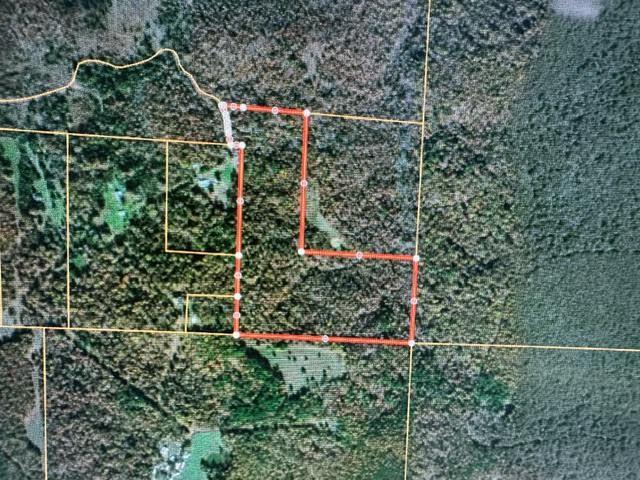 Land for sale – 000  County Road 434   Birch Tree, MO