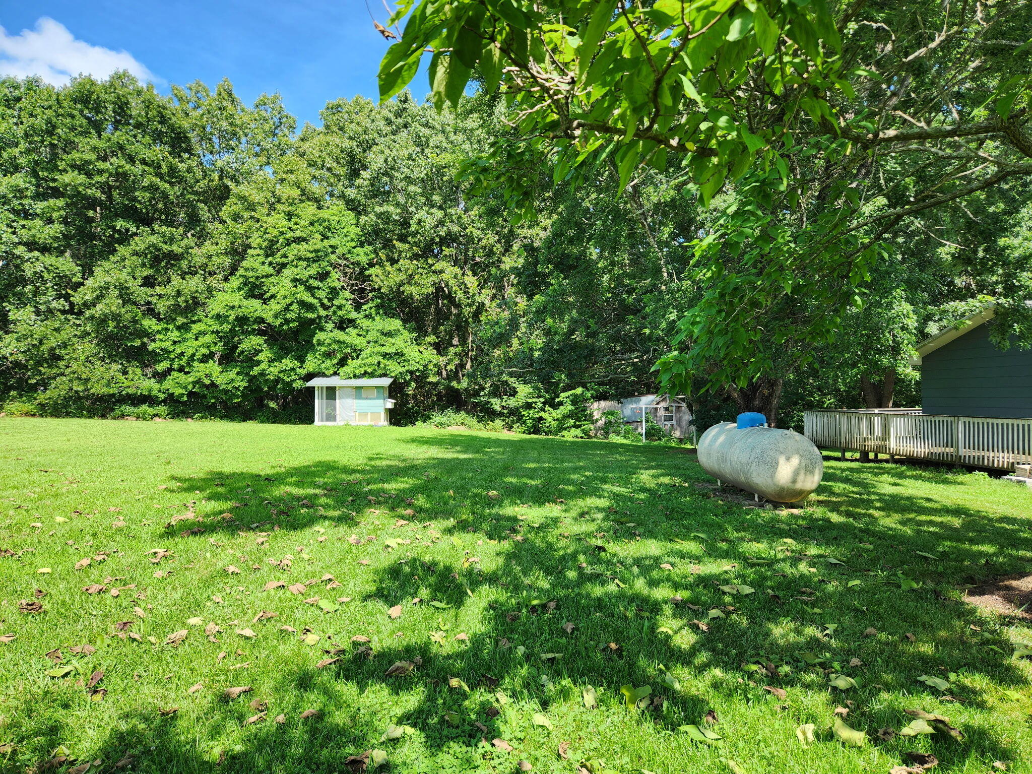 Photo 49 - Residential for sale – 4105  St Highway Nn   Ava, MO