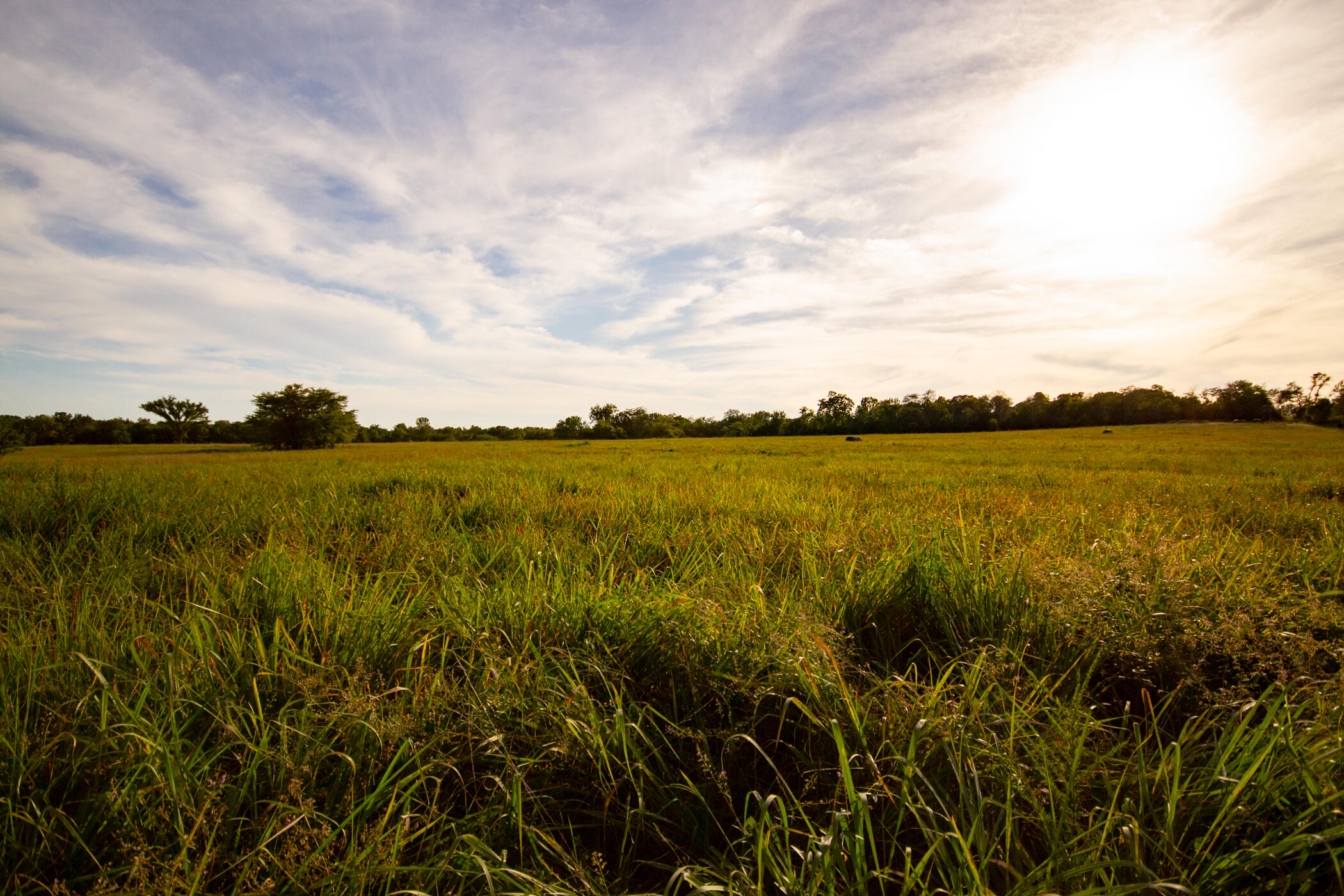 Land for sale – 000 E 1570 Road Jerico Springs, MO
