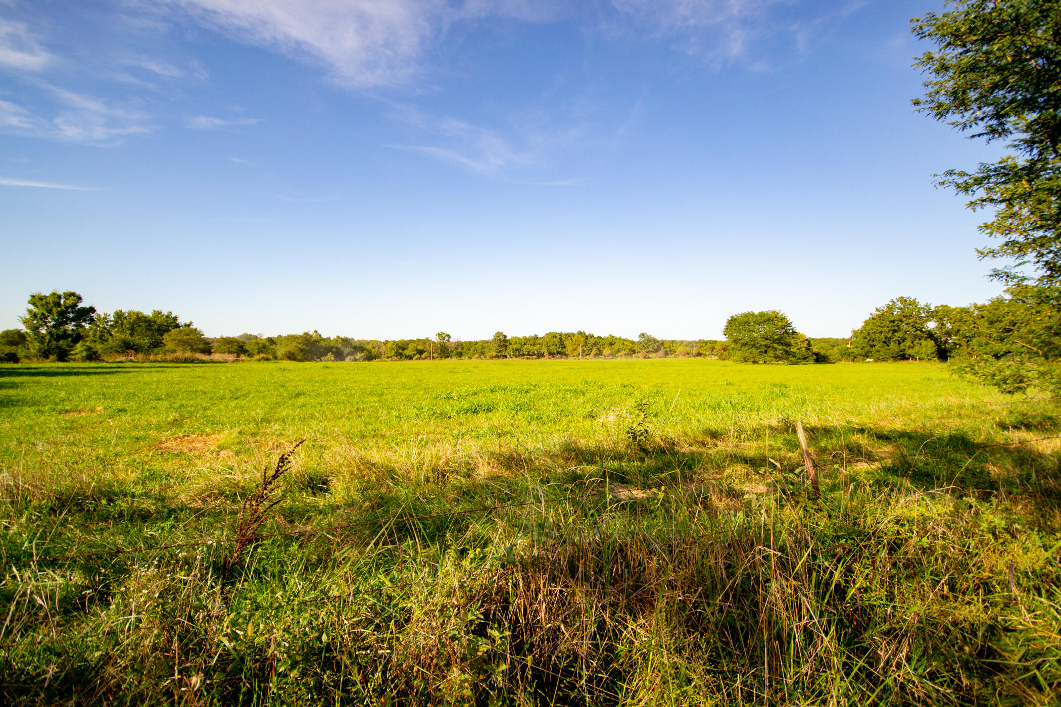 Photo 17 - Land for sale – 000 E 1570 Road  Jerico Springs, MO