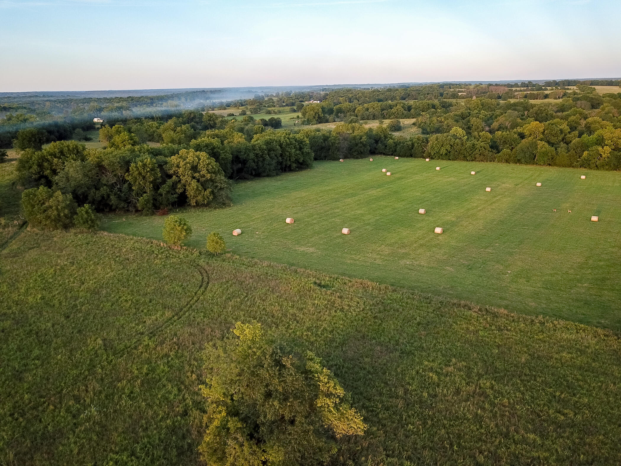 Photo 12 - Land for sale – 000 E 1570 Road  Jerico Springs, MO