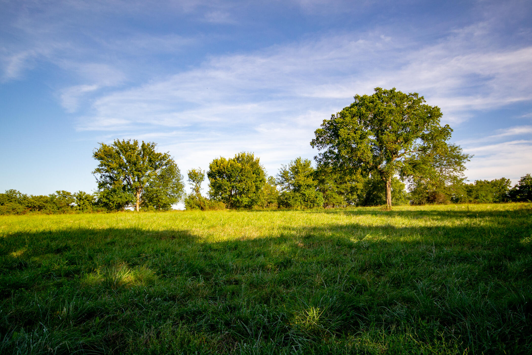 Photo 2 - Land for sale – 000 E 1570 Road  Jerico Springs, MO
