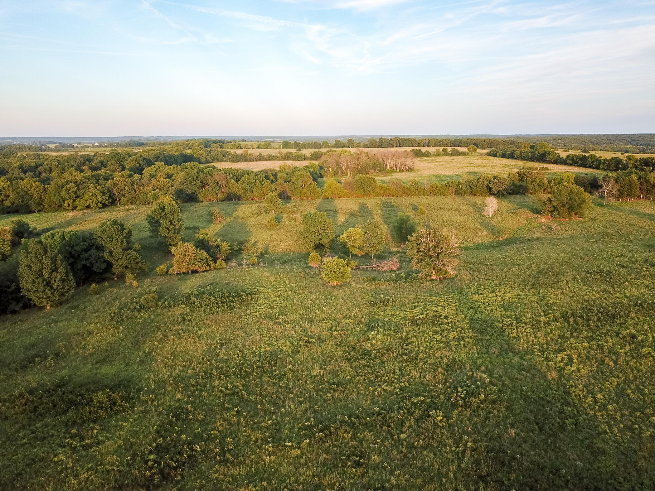 Photo 14 - Land for sale – 000 E 1570 Road  Jerico Springs, MO