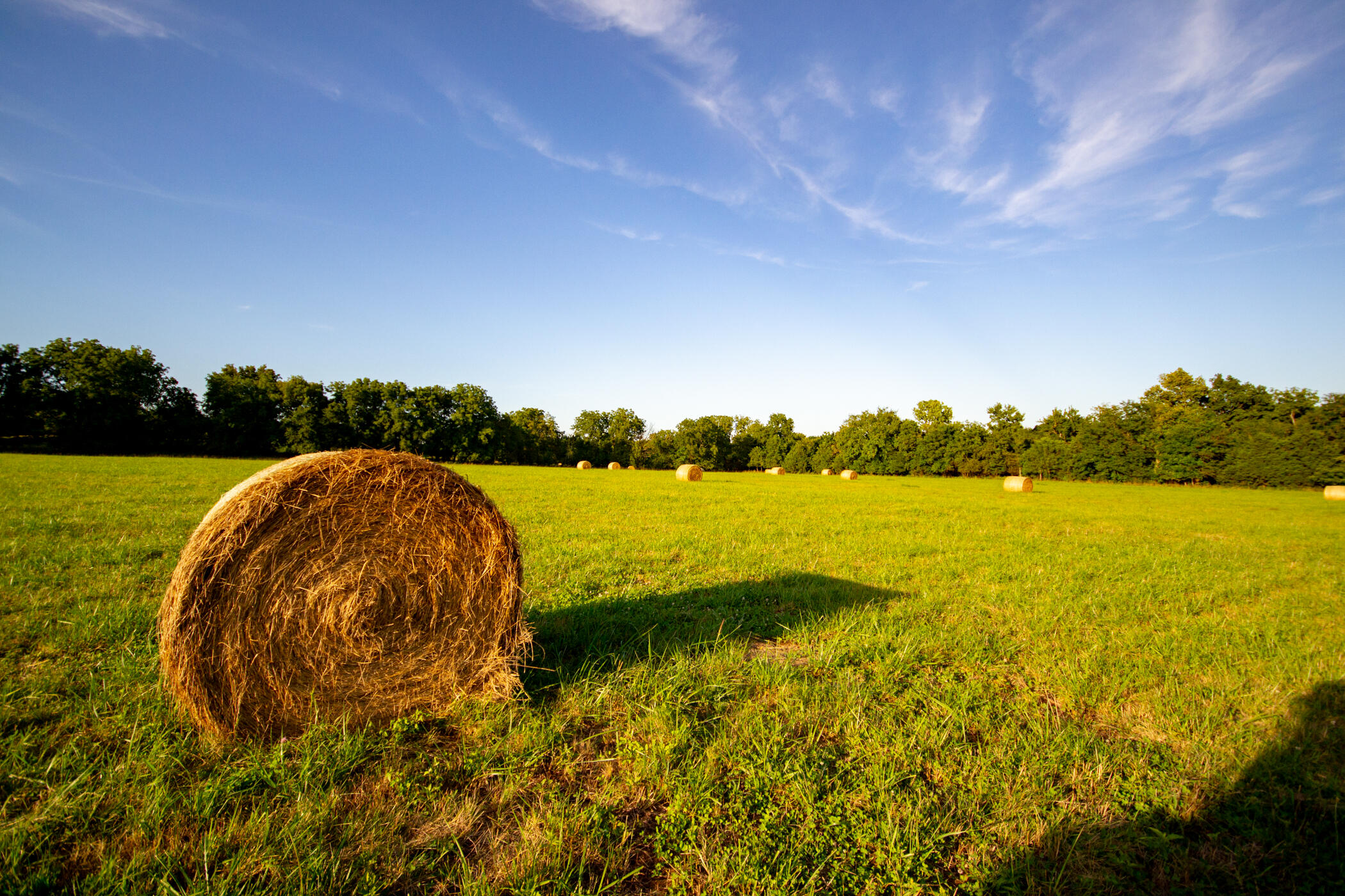 Photo 32 - Land for sale – 000 E 1570 Road  Jerico Springs, MO
