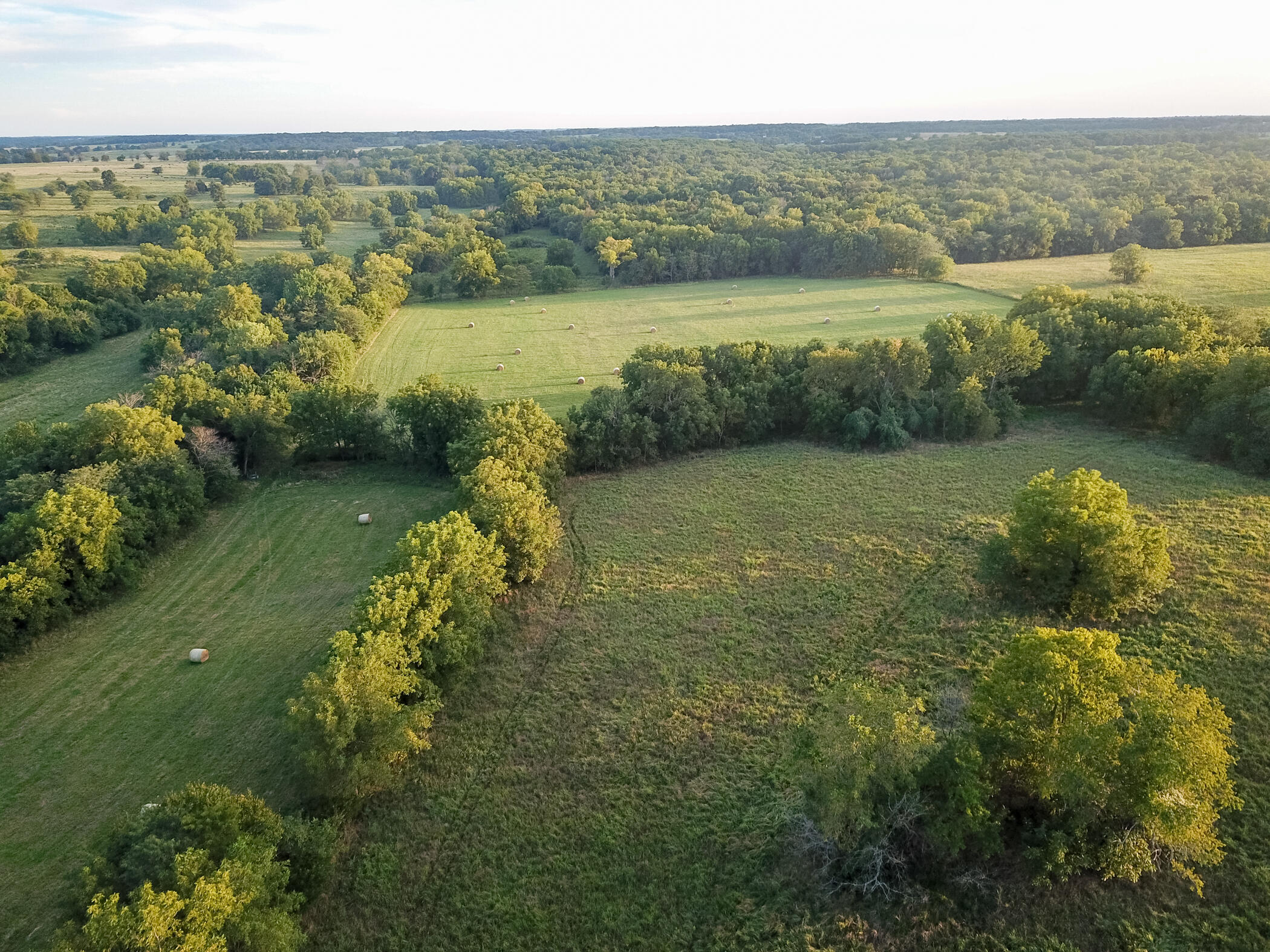 Photo 4 - Land for sale – 000 E 1570 Road  Jerico Springs, MO