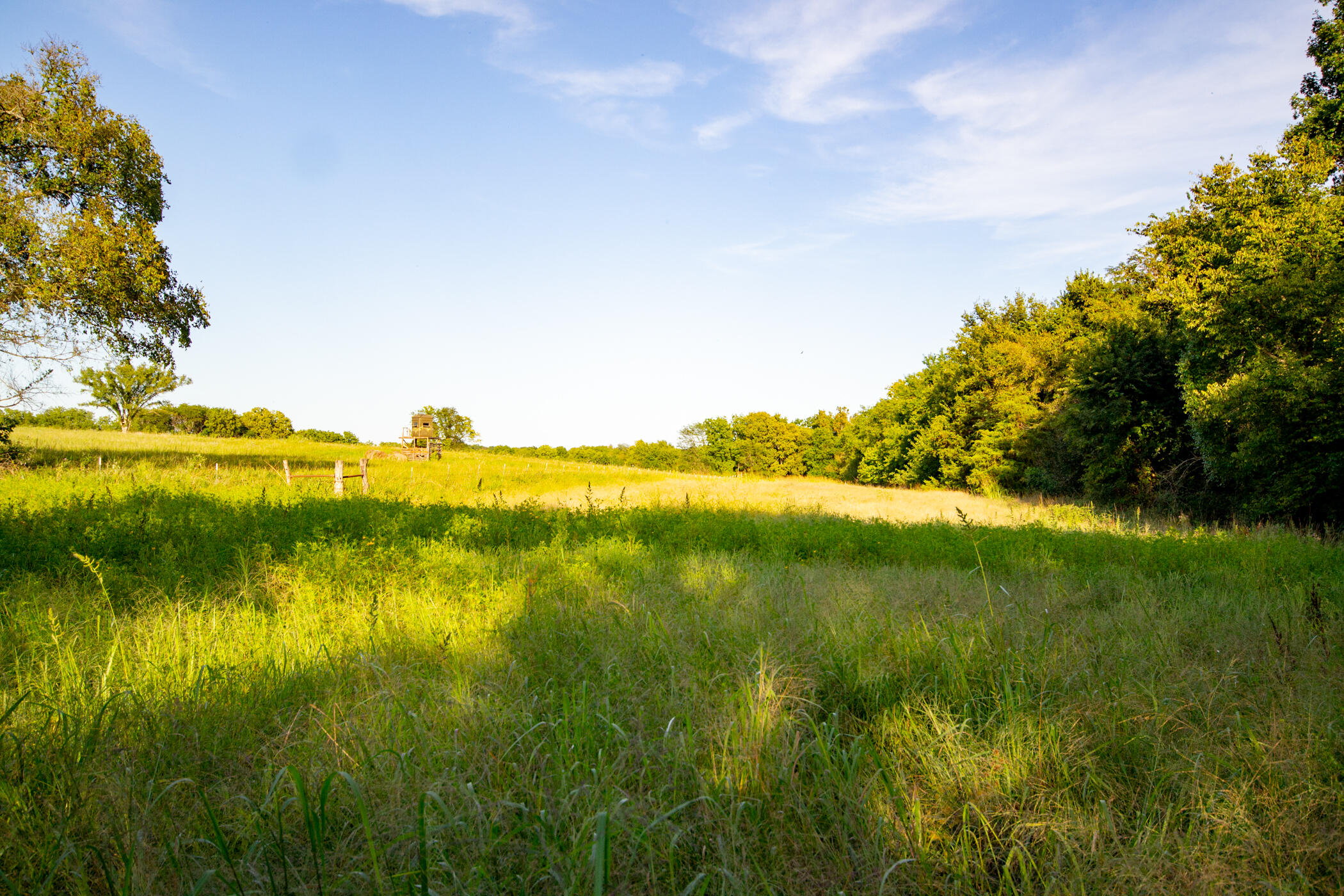 Photo 25 - Land for sale – 000 E 1570 Road  Jerico Springs, MO