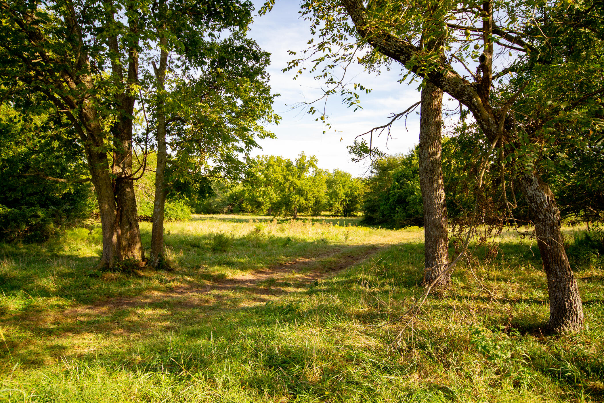 Photo 18 - Land for sale – 000 E 1570 Road  Jerico Springs, MO