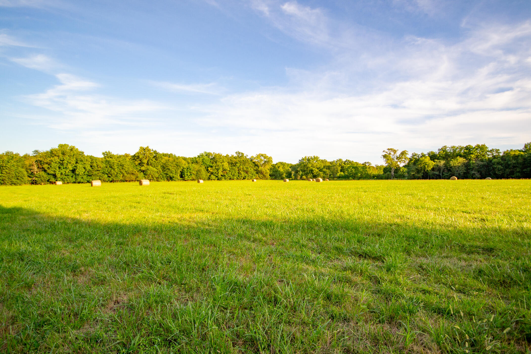 Photo 31 - Land for sale – 000 E 1570 Road  Jerico Springs, MO