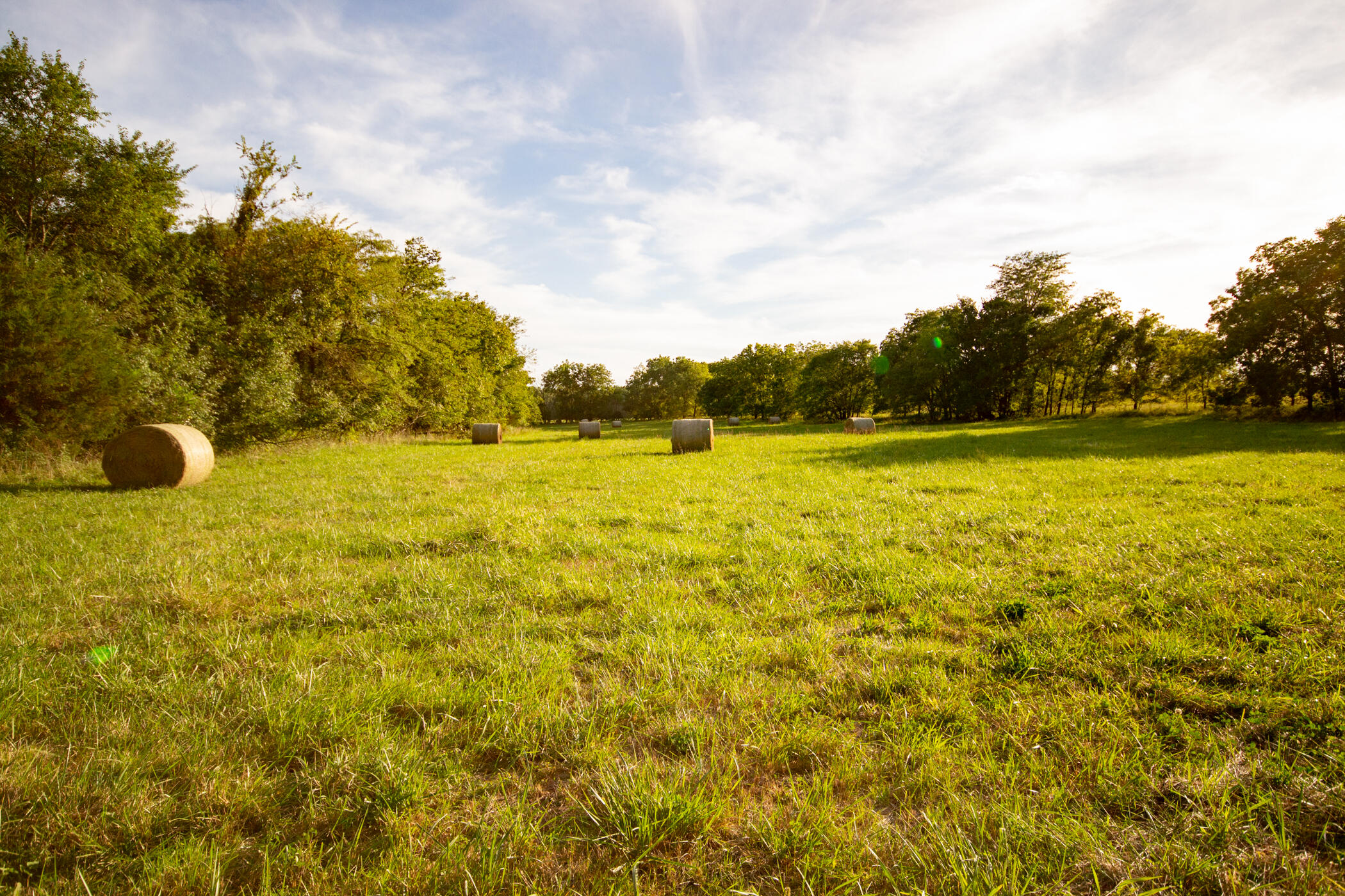Photo 29 - Land for sale – 000 E 1570 Road  Jerico Springs, MO