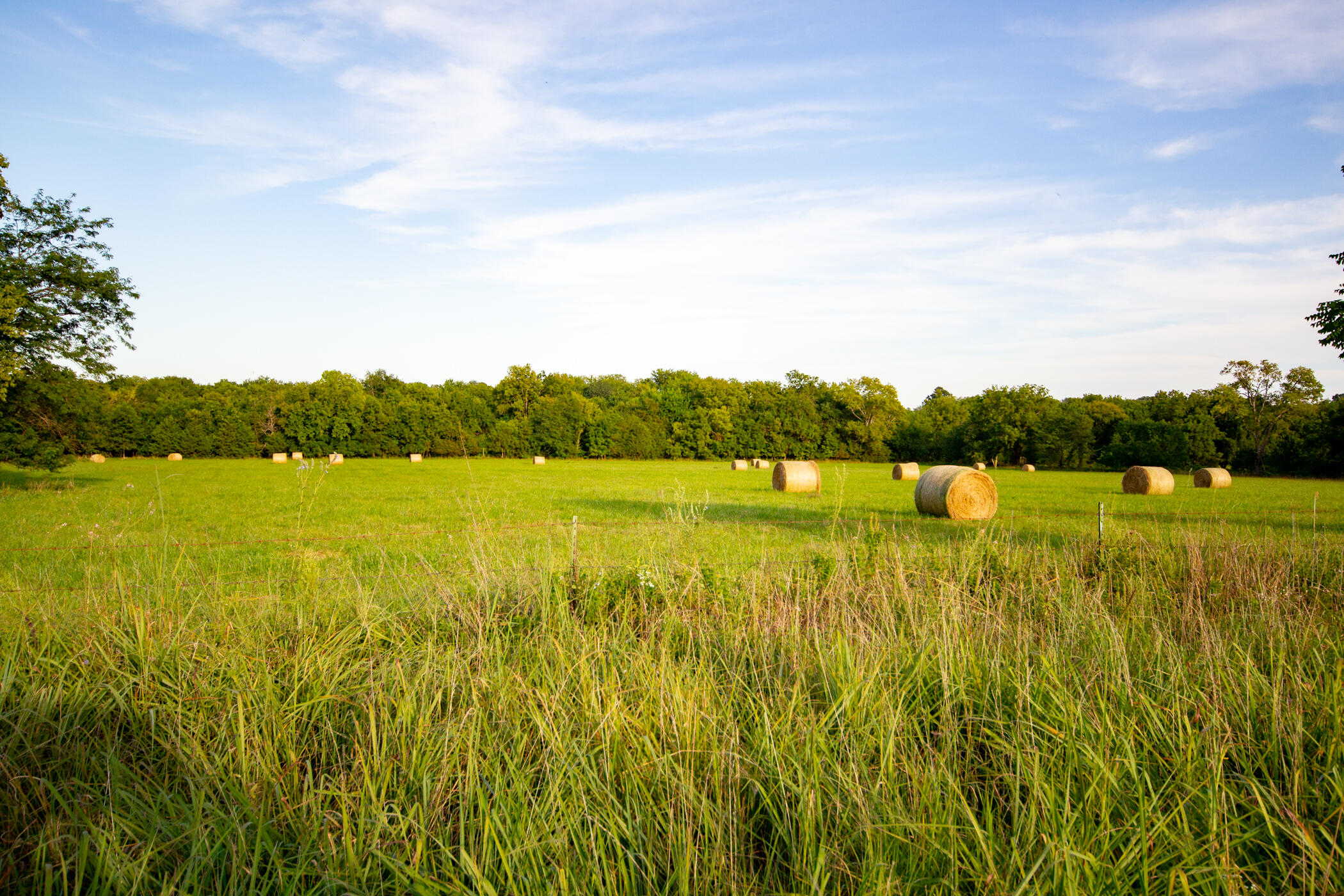 Photo 27 - Land for sale – 000 E 1570 Road  Jerico Springs, MO