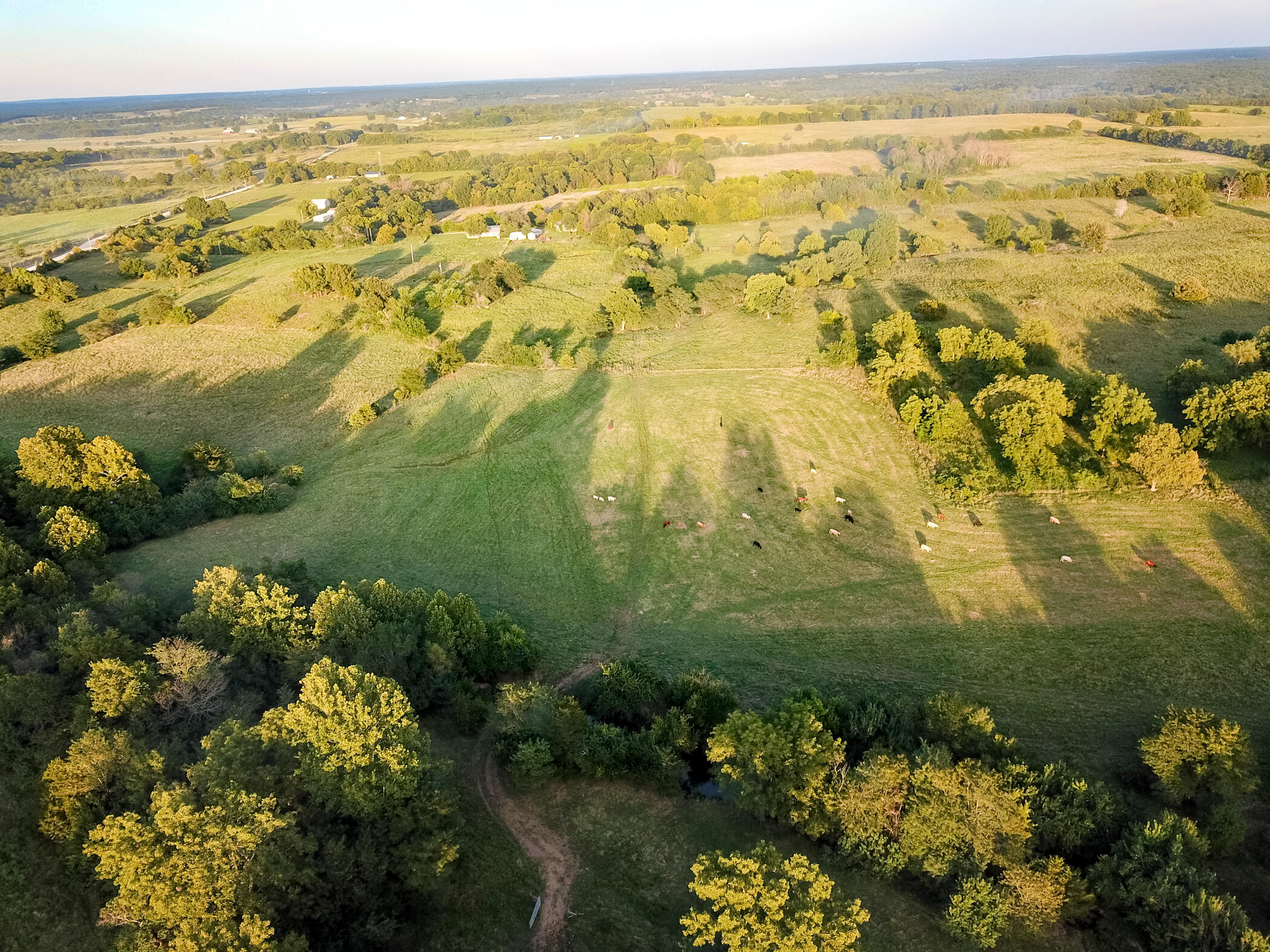 Photo 5 - Land for sale – 000 E 1570 Road  Jerico Springs, MO
