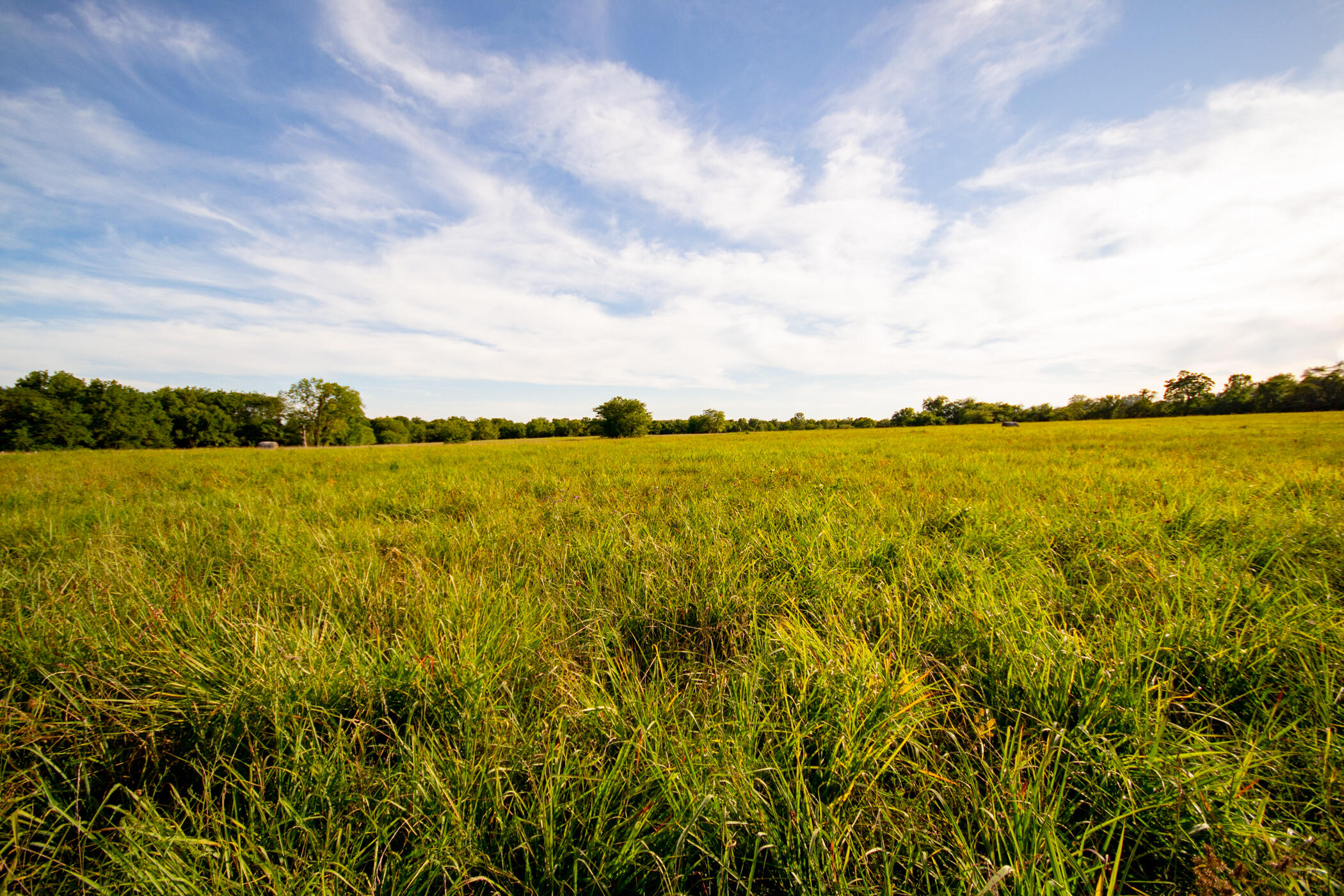 Photo 21 - Land for sale – 000 E 1570 Road  Jerico Springs, MO