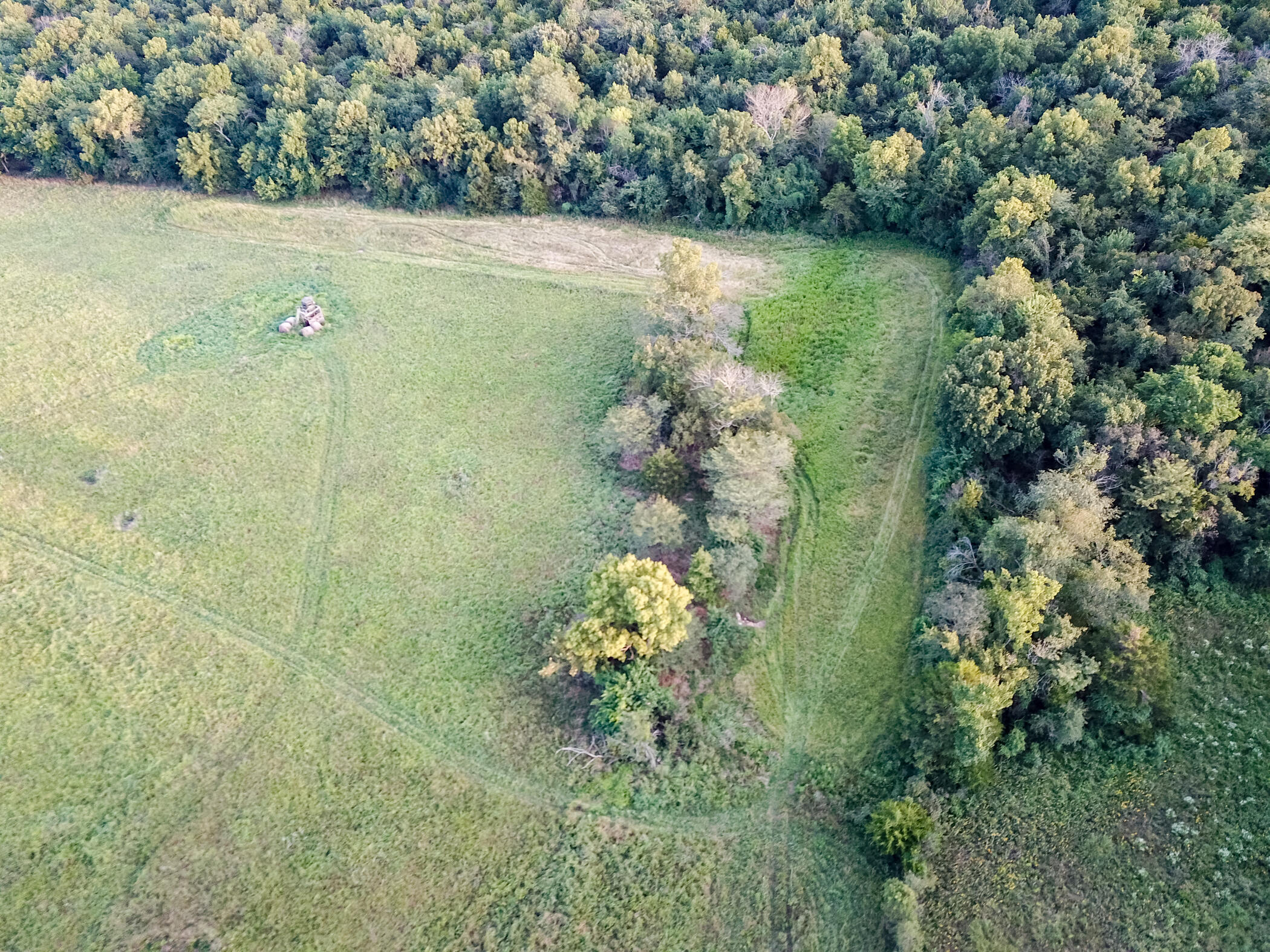 Photo 8 - Land for sale – 000 E 1570 Road  Jerico Springs, MO