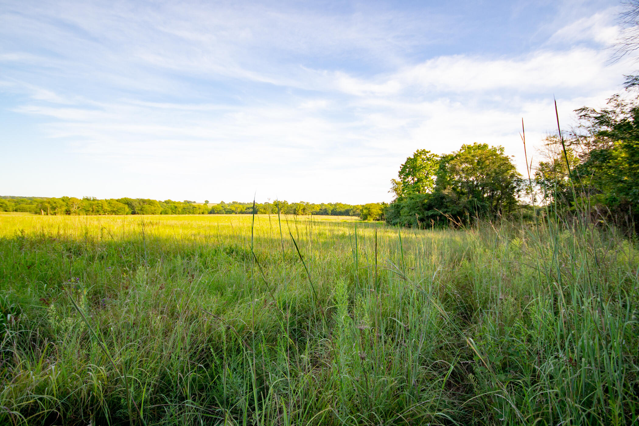Photo 24 - Land for sale – 000 E 1570 Road  Jerico Springs, MO
