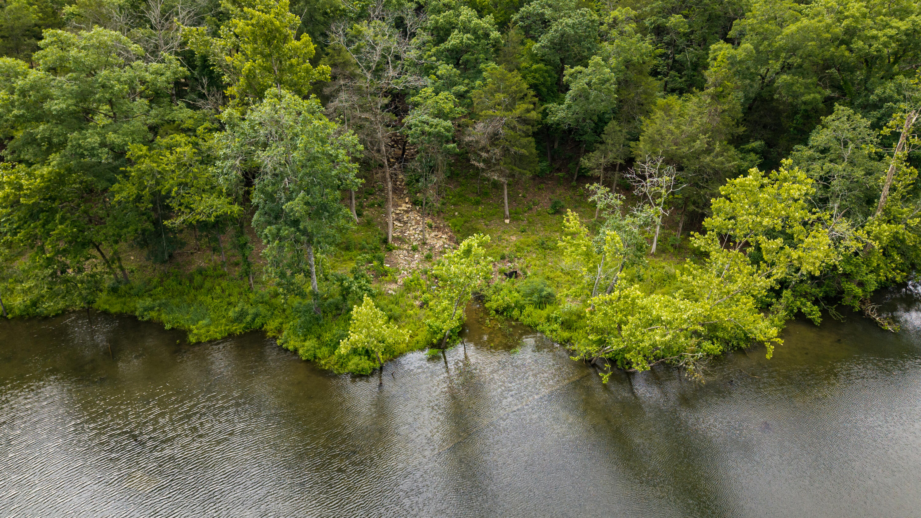 Photo 20 - Land for sale – 1701  Rustic Acres Road  Kirbyville, MO