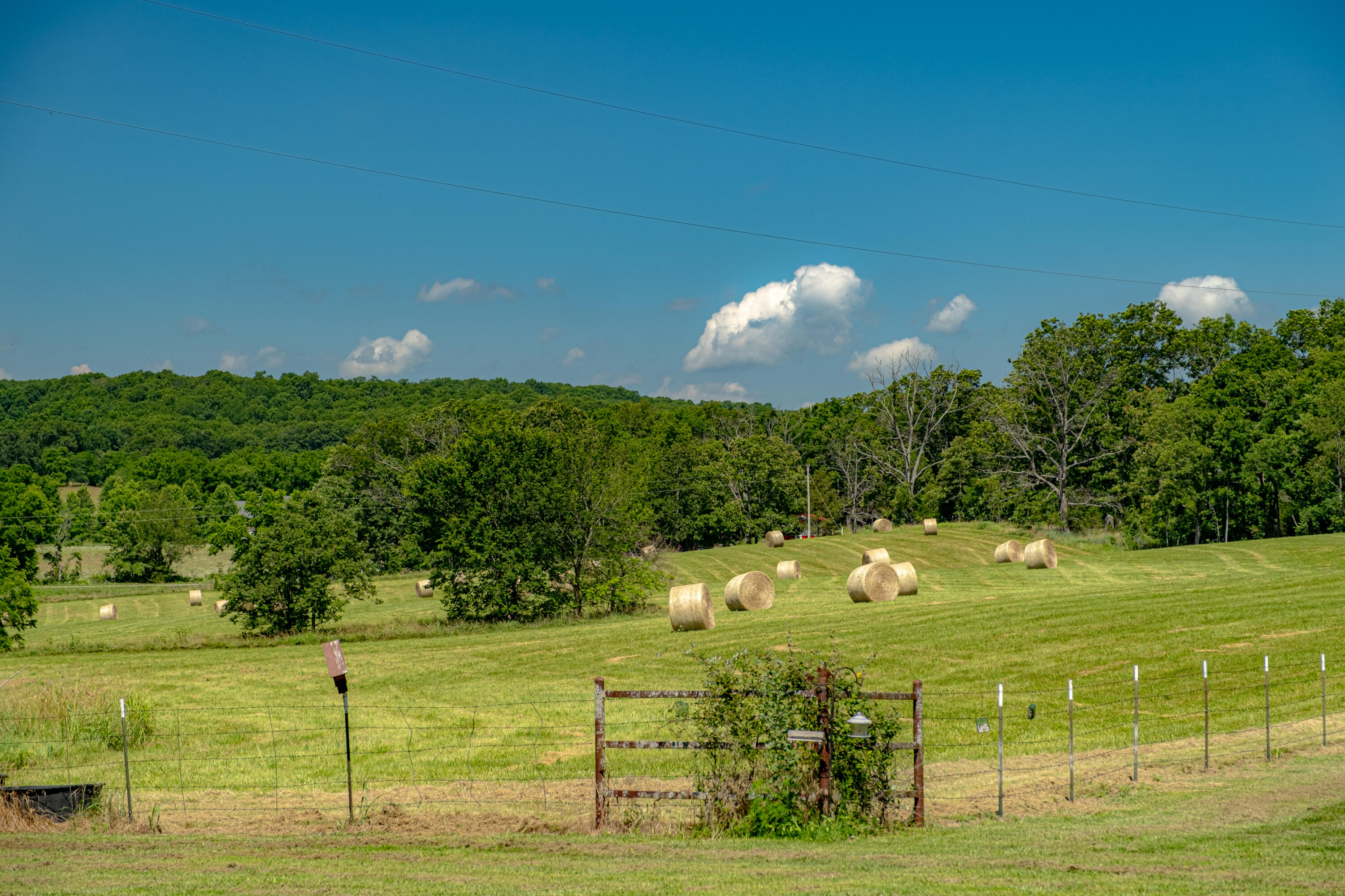 Photo 63 - Farm for sale – 6152  County Road O-527   Ava, MO