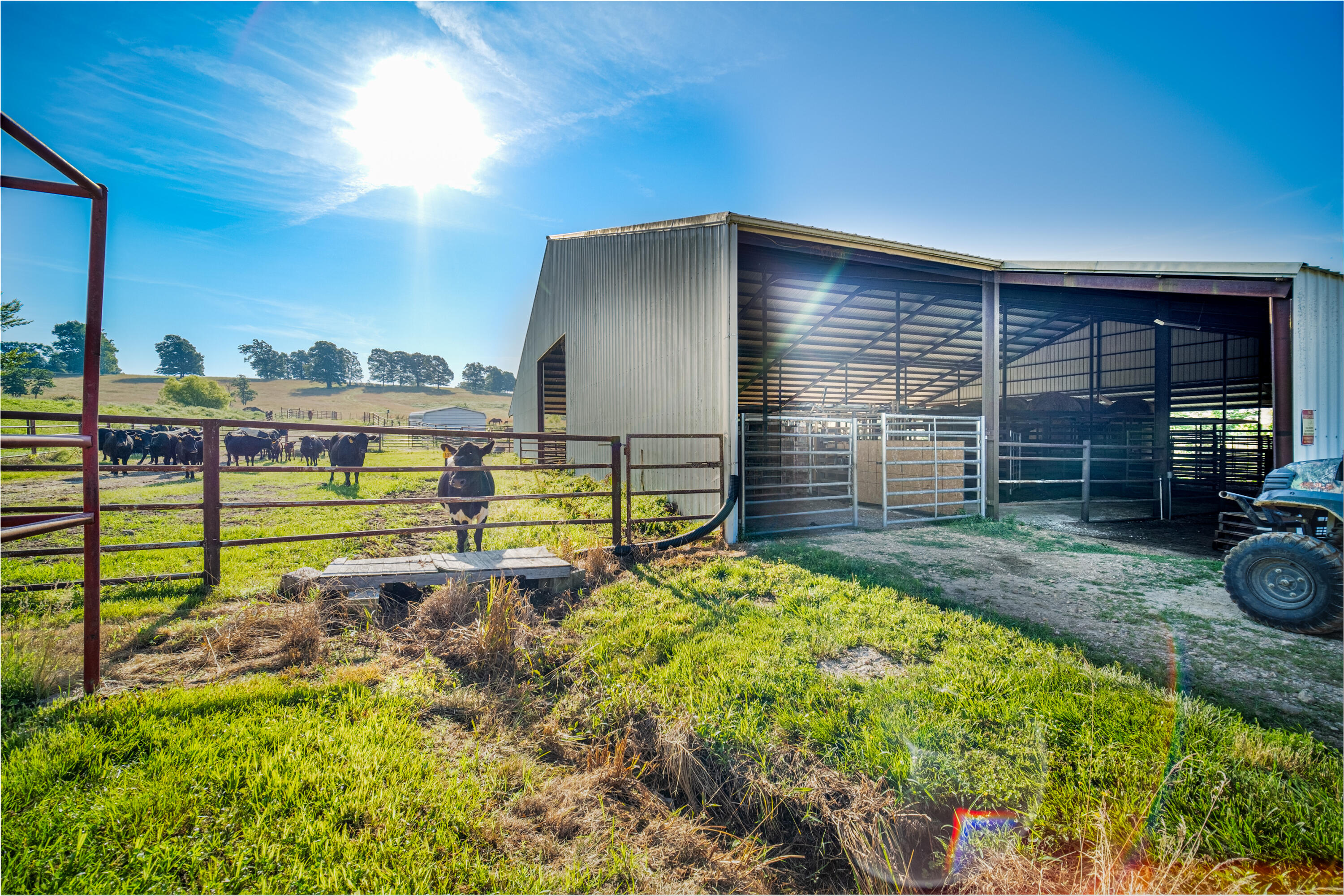 Photo 44 - Farm for sale – 6152  County Road O-527   Ava, MO