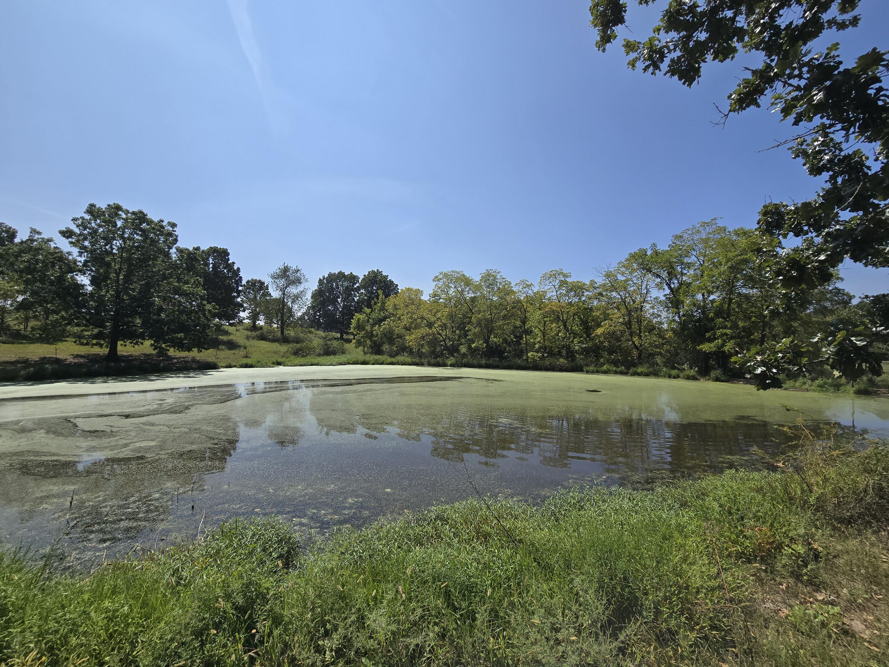 Photo 2 - Land for sale – 24770  Juniper Road  Lebanon, MO