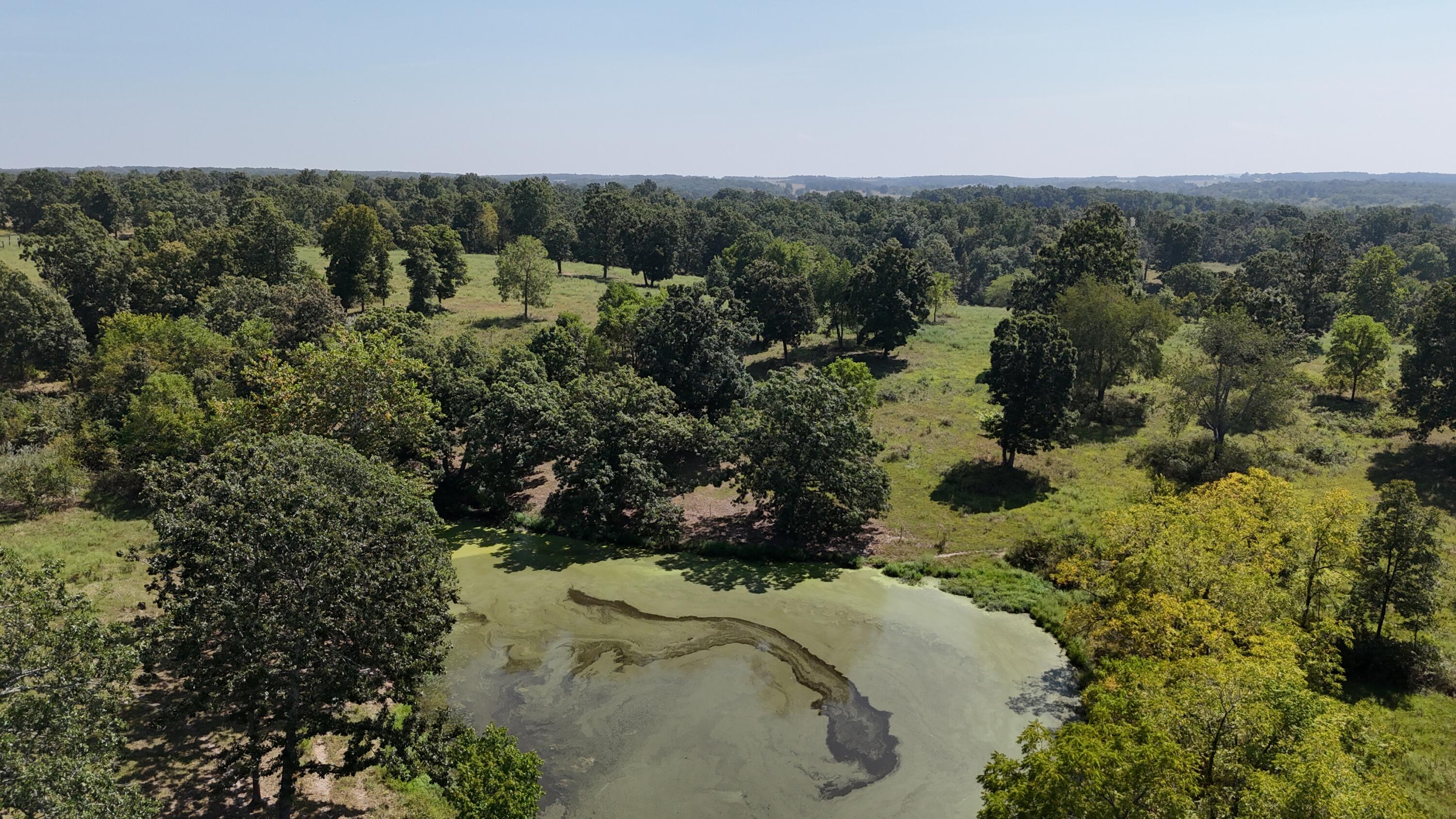 Photo 25 - Land for sale – 24770  Juniper Road  Lebanon, MO