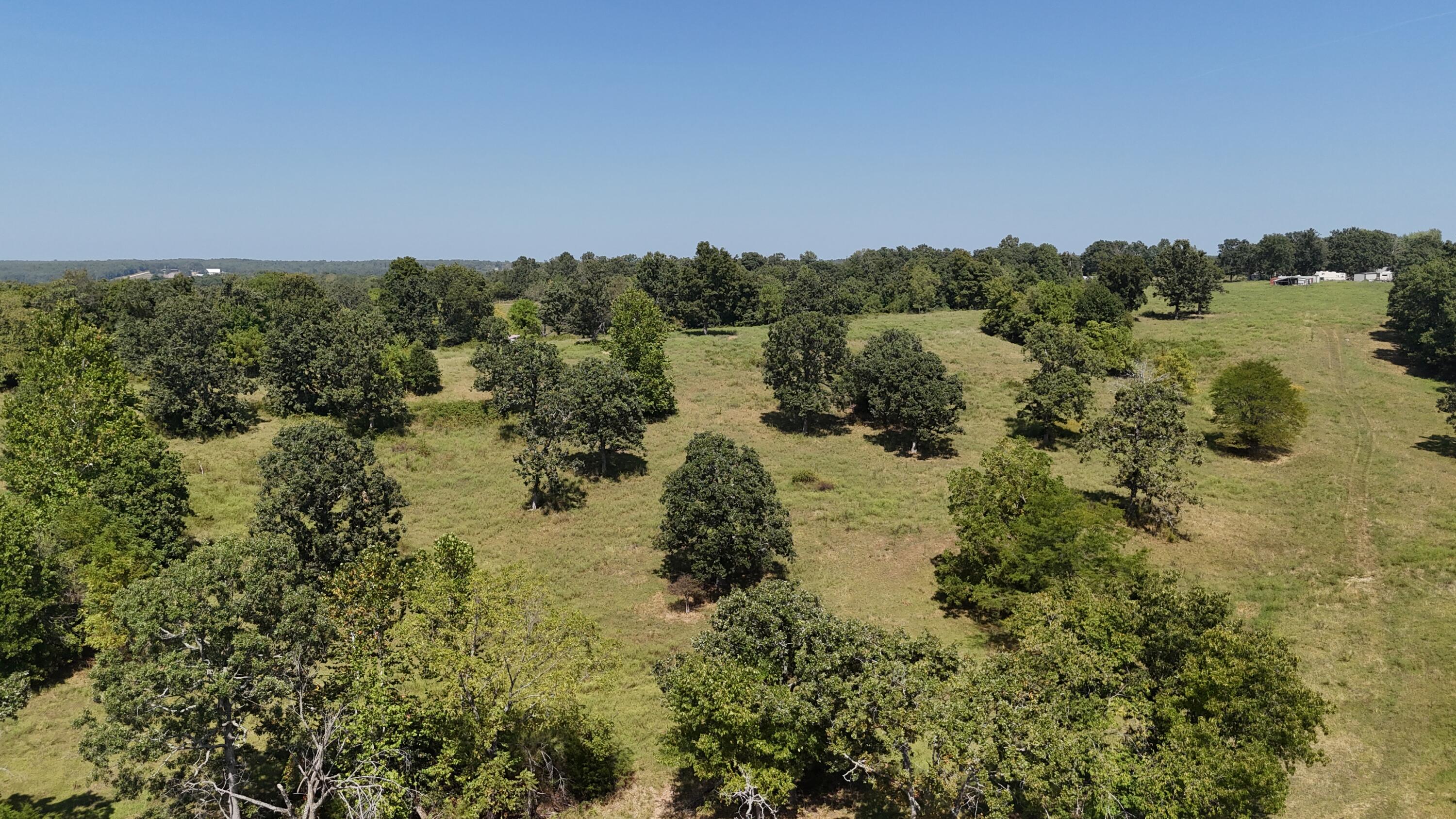 Photo 10 - Land for sale – 24770  Juniper Road  Lebanon, MO