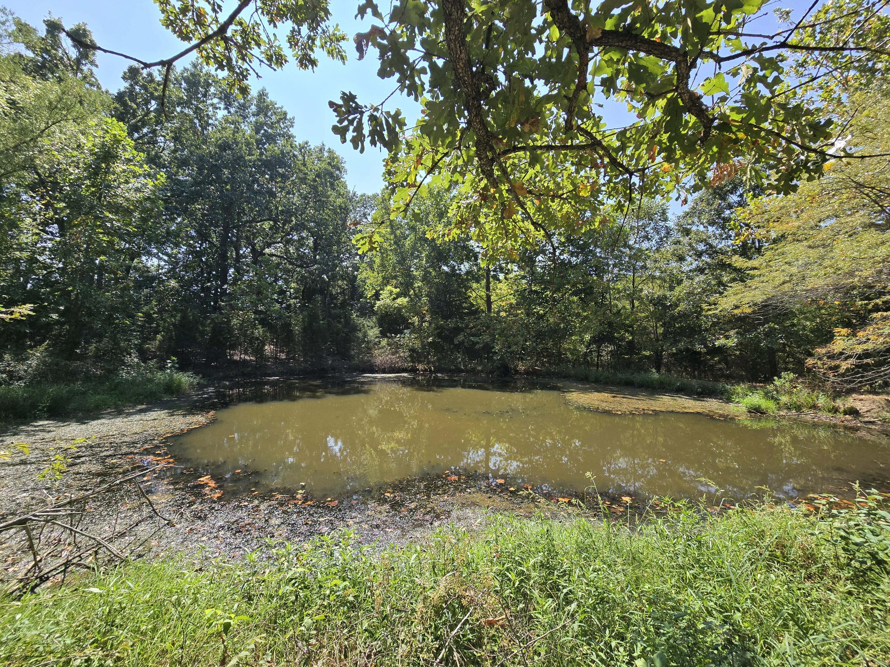 Photo 7 - Land for sale – 24770  Juniper Road  Lebanon, MO