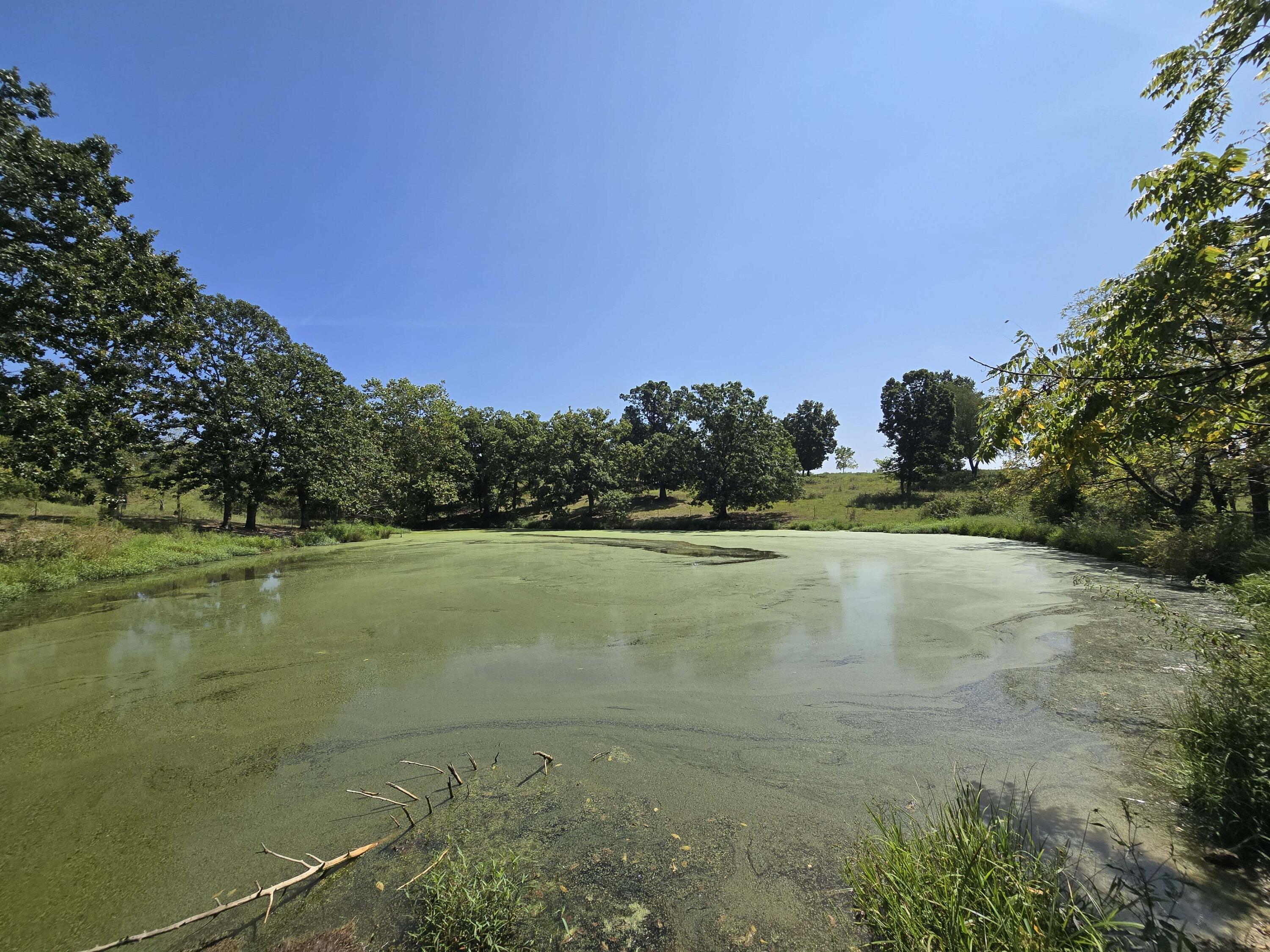 Photo 6 - Land for sale – 24770  Juniper Road  Lebanon, MO