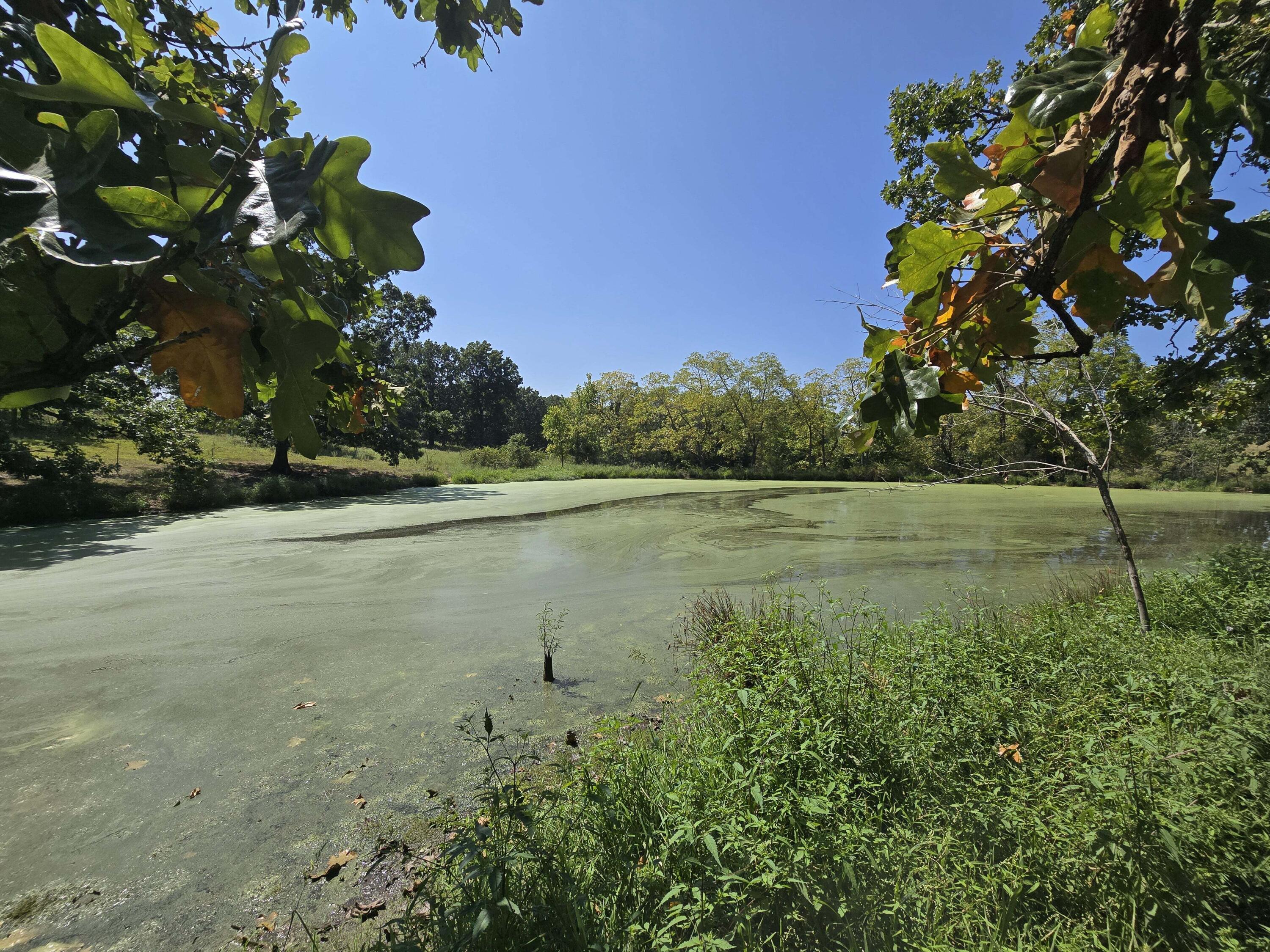 Photo 3 - Land for sale – 24770  Juniper Road  Lebanon, MO