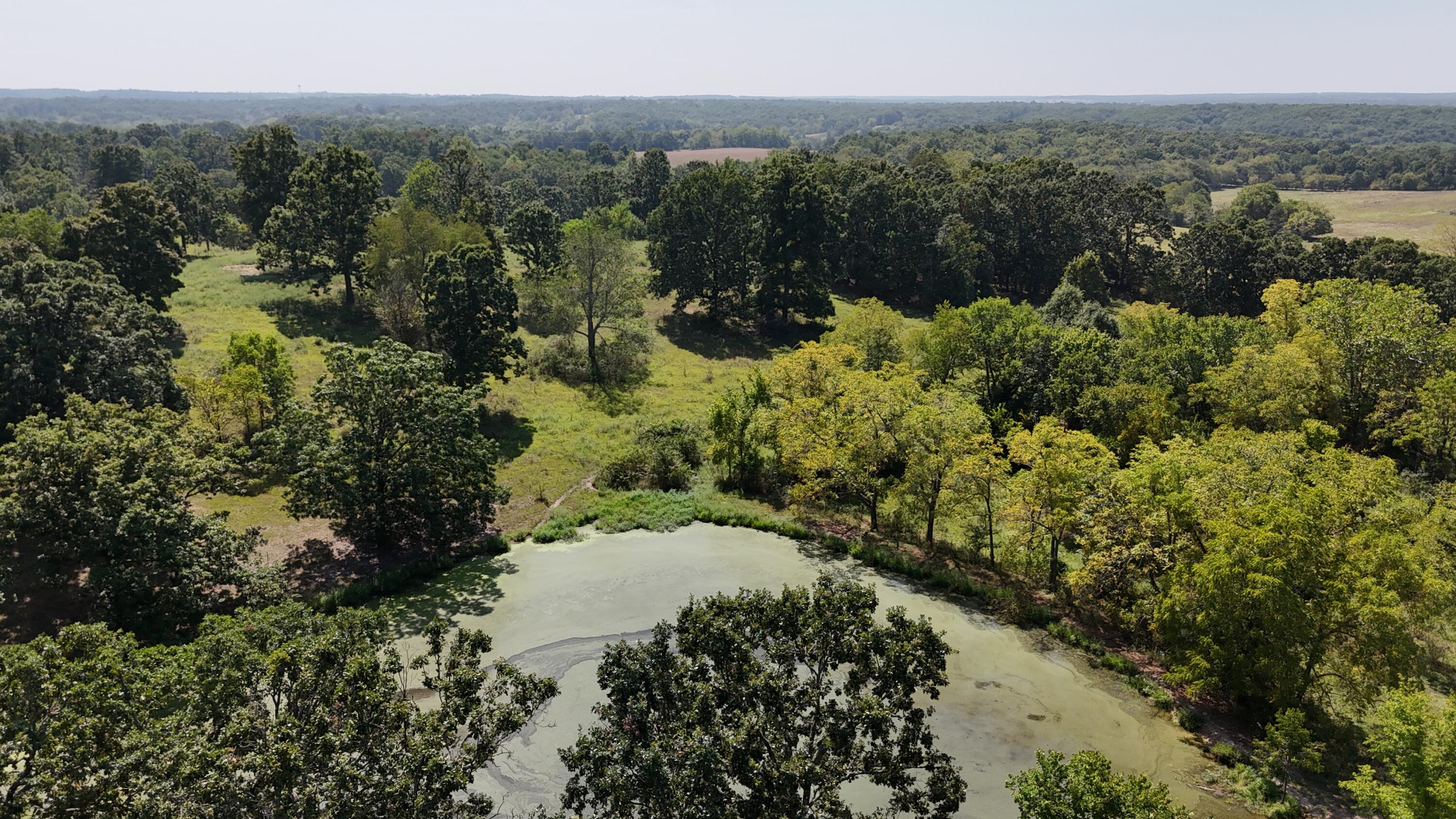 Photo 28 - Land for sale – 24770  Juniper Road  Lebanon, MO
