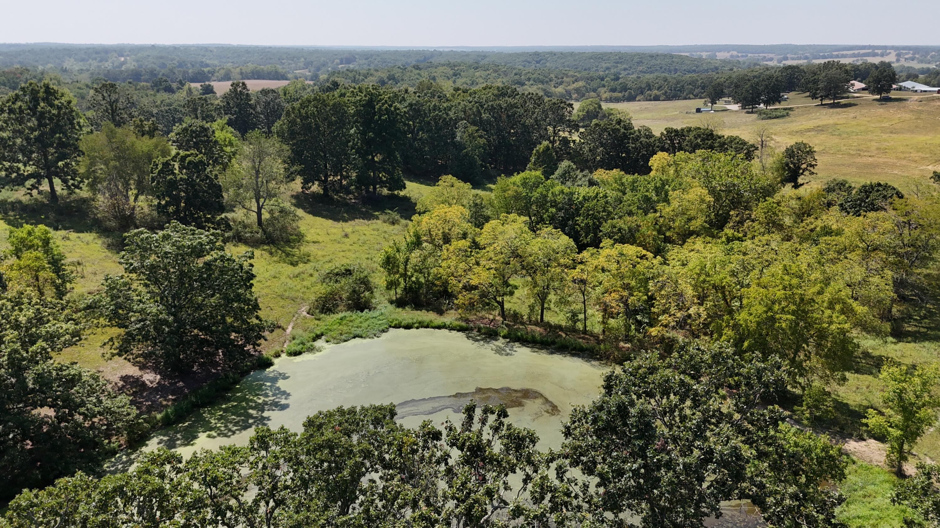 Land for sale – 24770  Juniper Road  Lebanon, MO
