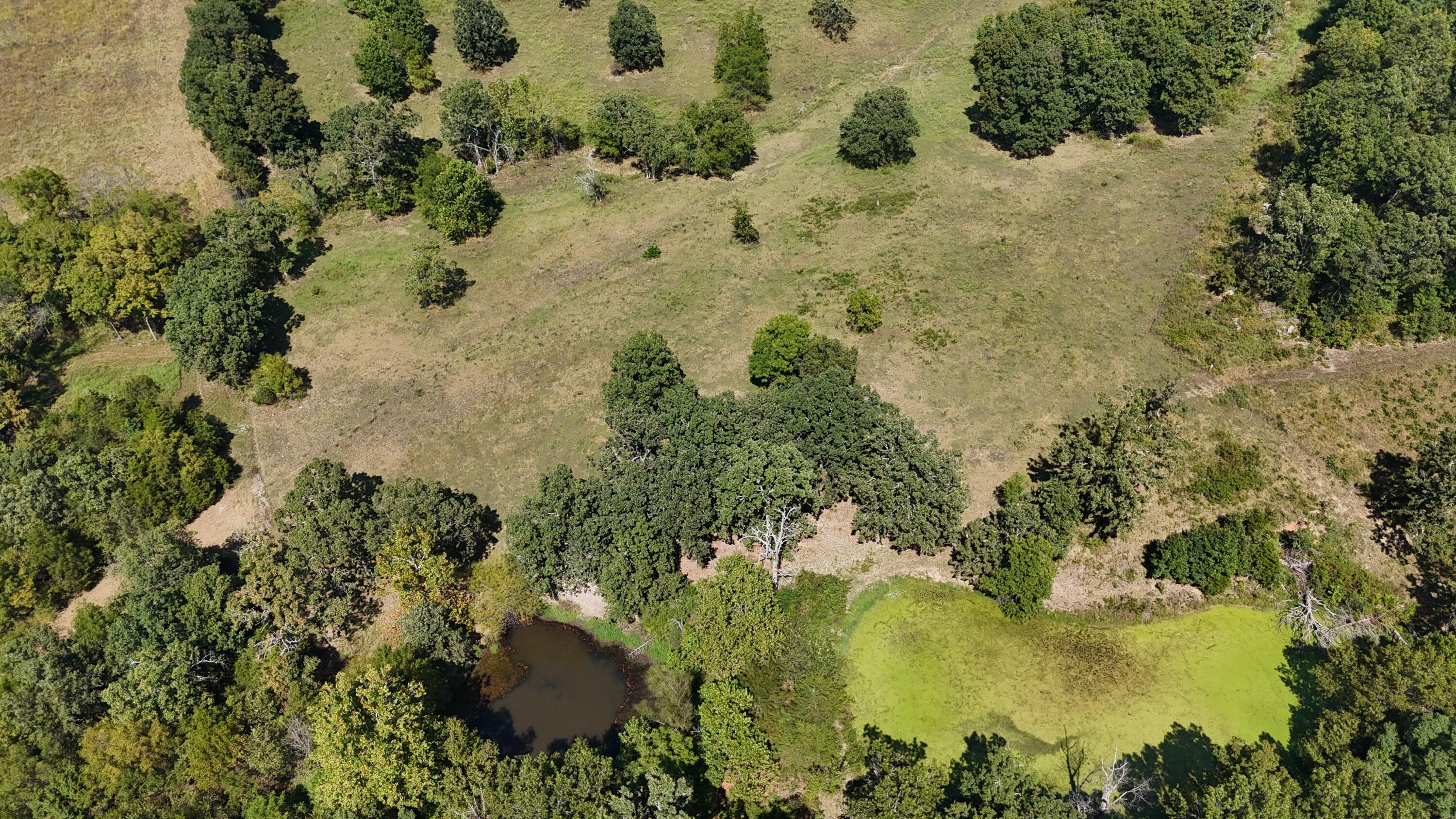 Photo 22 - Land for sale – 24770  Juniper Road  Lebanon, MO