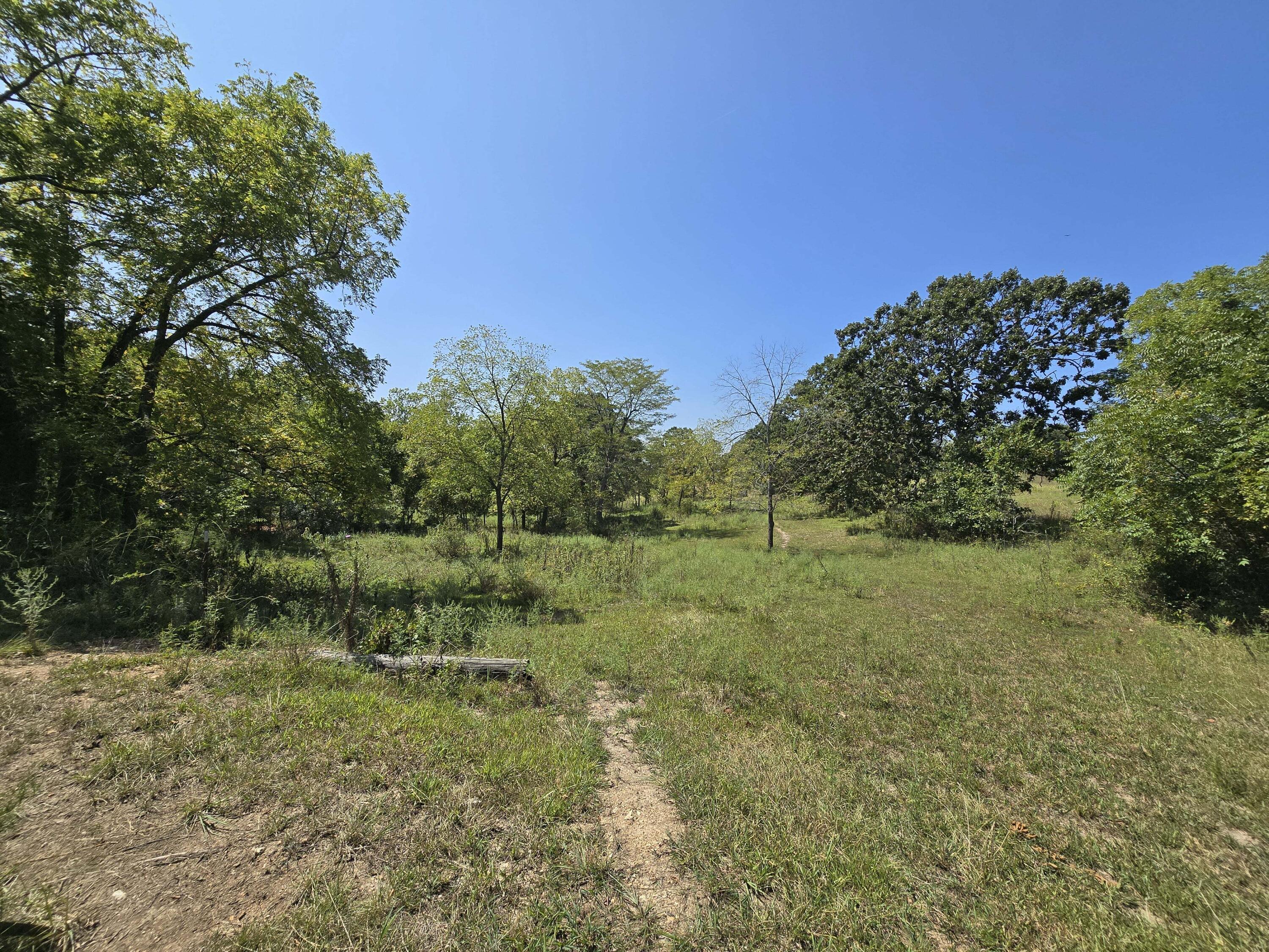 Photo 5 - Land for sale – 24770  Juniper Road  Lebanon, MO
