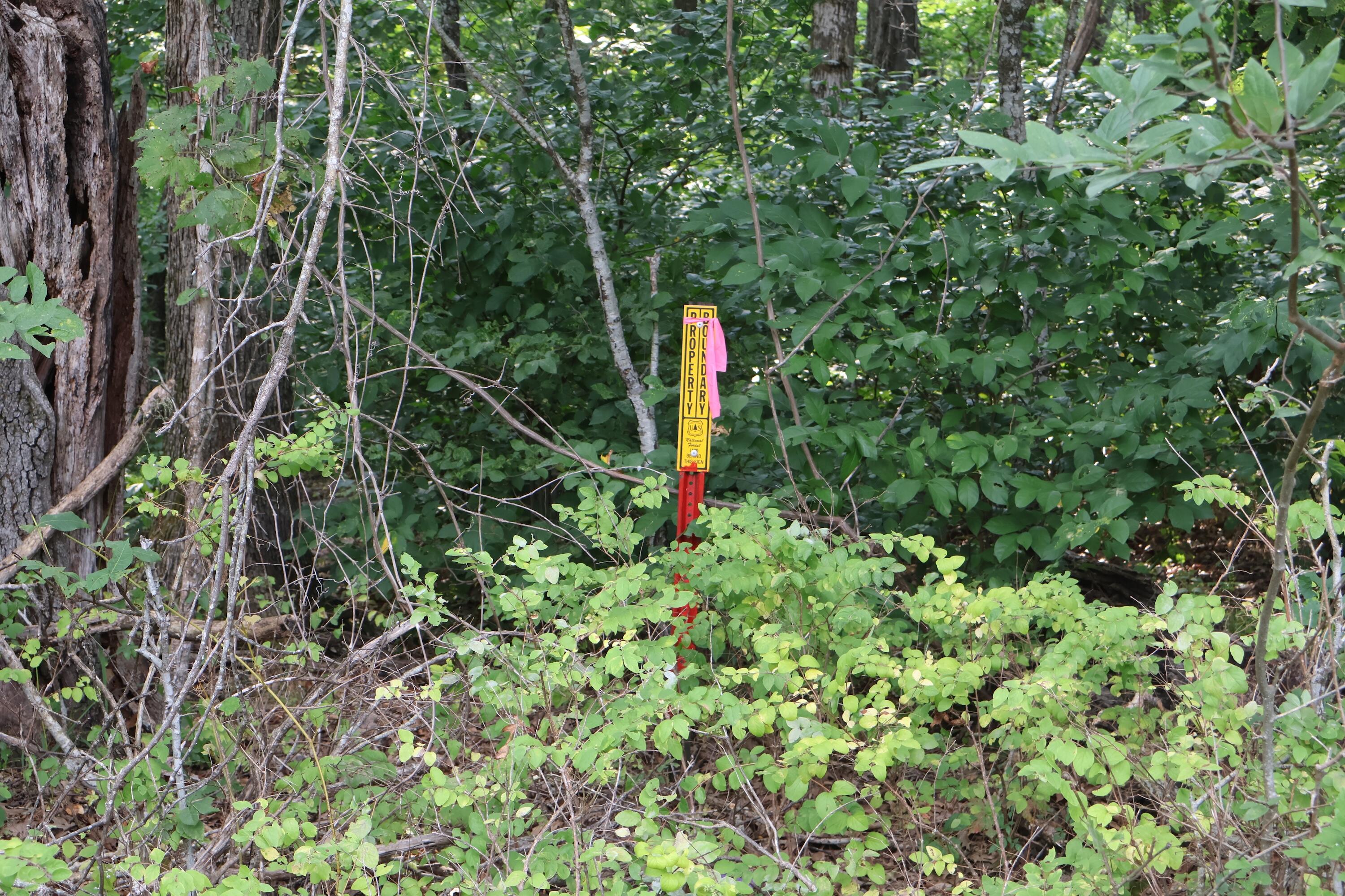 Photo 18 - Land for sale – 000  Red Bridge Rd   Ozark, MO