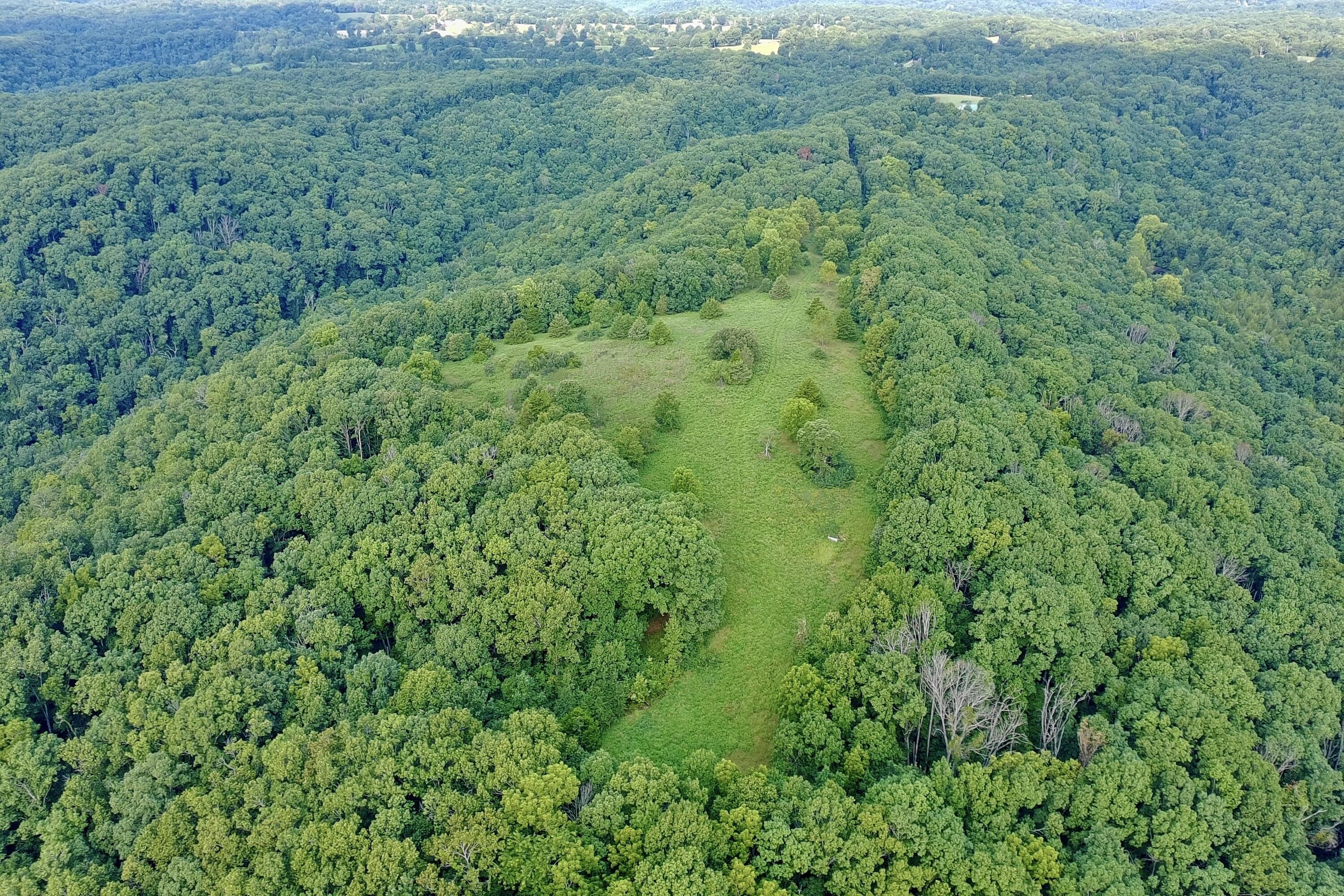 Photo 5 - Land for sale – 000  Red Bridge Rd   Ozark, MO