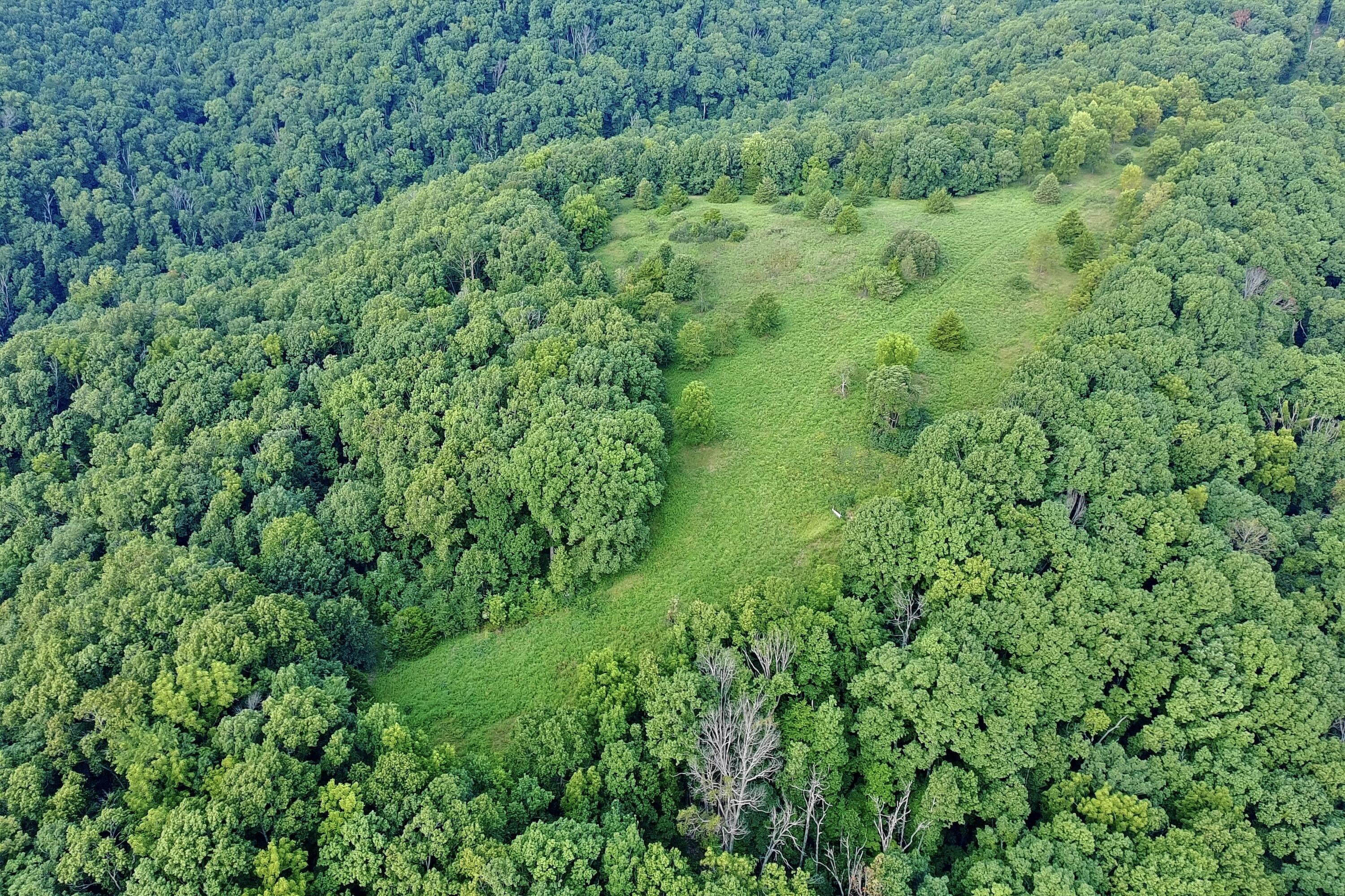 Photo 7 - Land for sale – 000  Red Bridge Rd   Ozark, MO