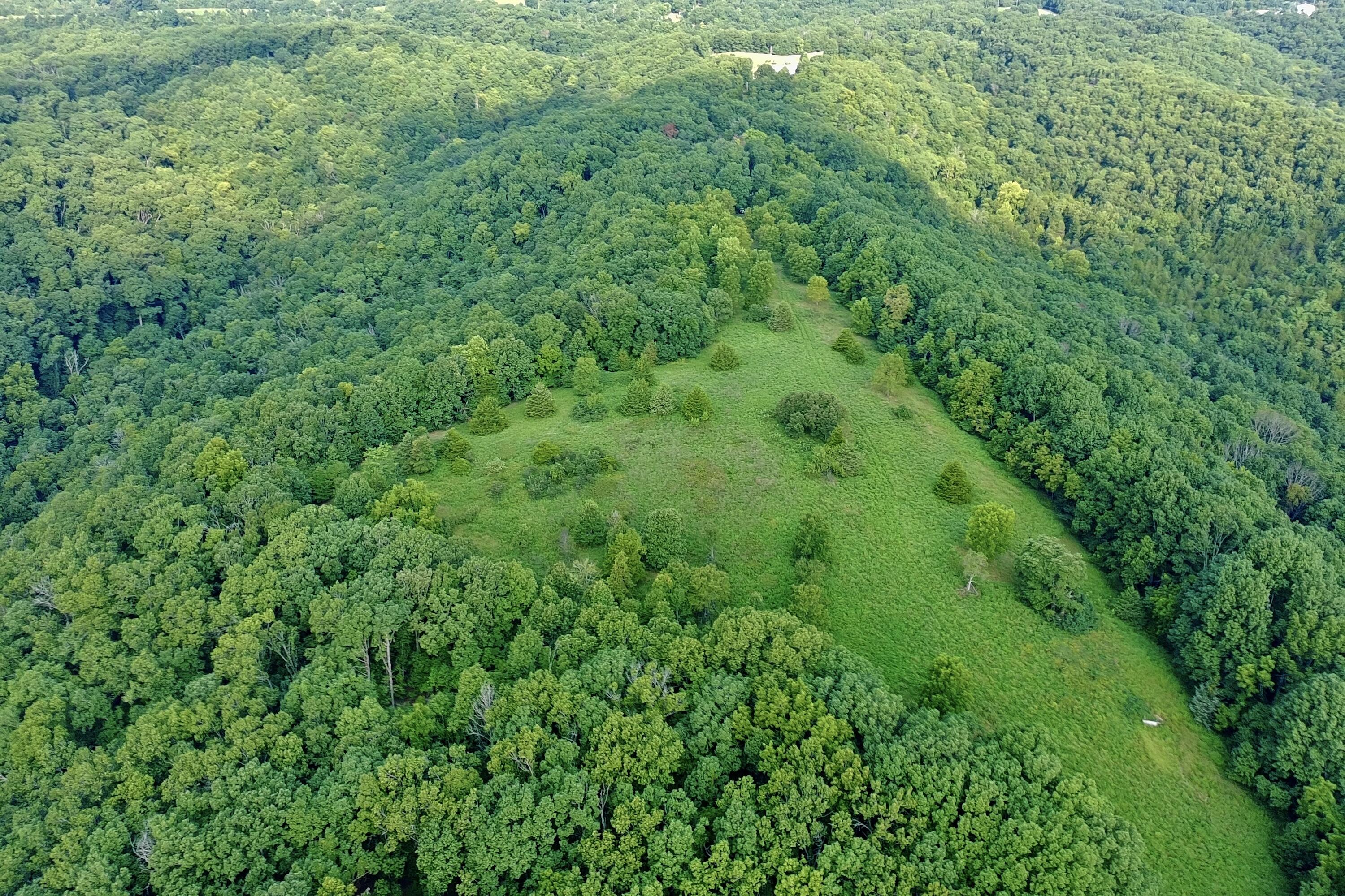 Photo 9 - Land for sale – 000  Red Bridge Rd   Ozark, MO