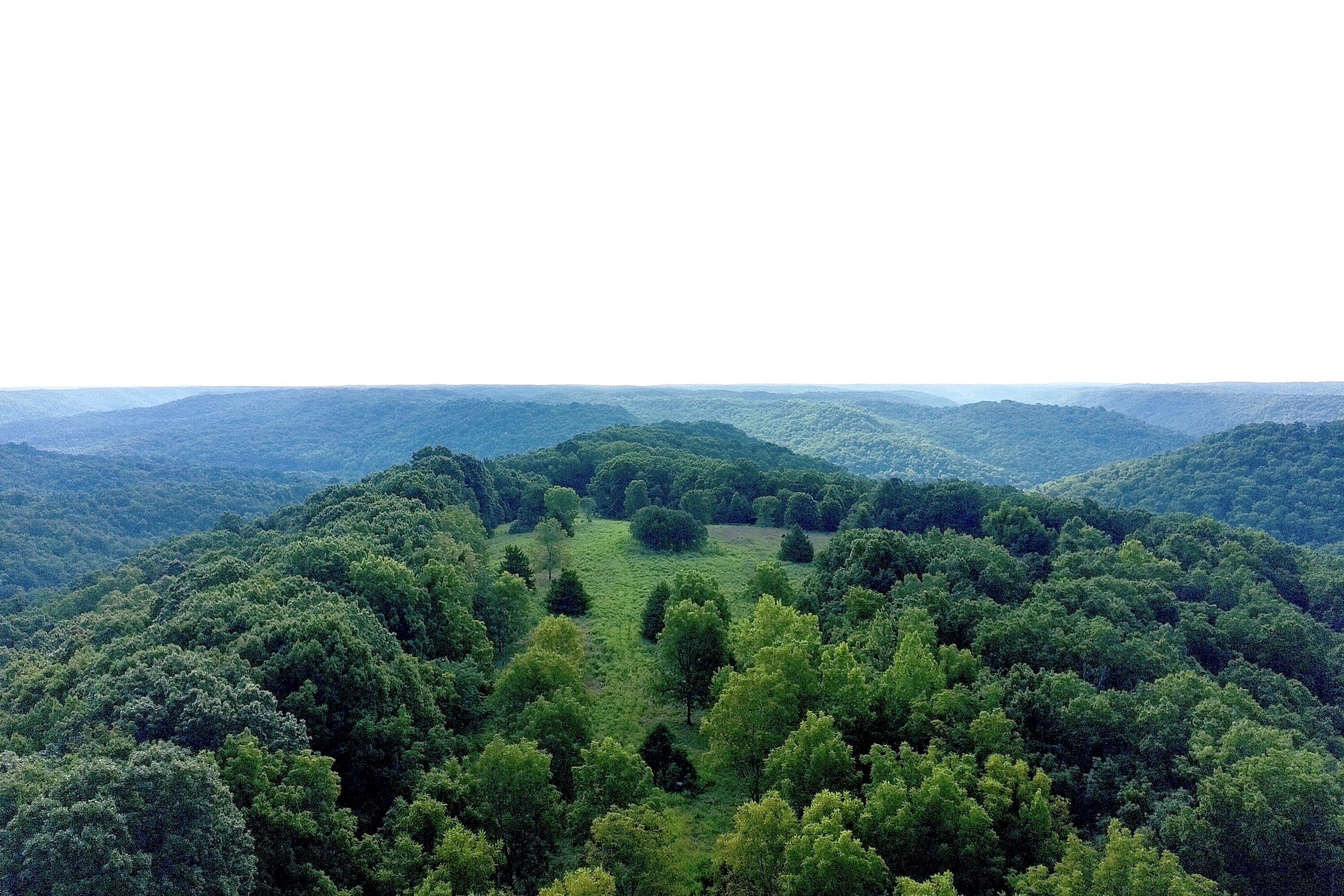 Land for sale – 000  Red Bridge Rd   Ozark, MO