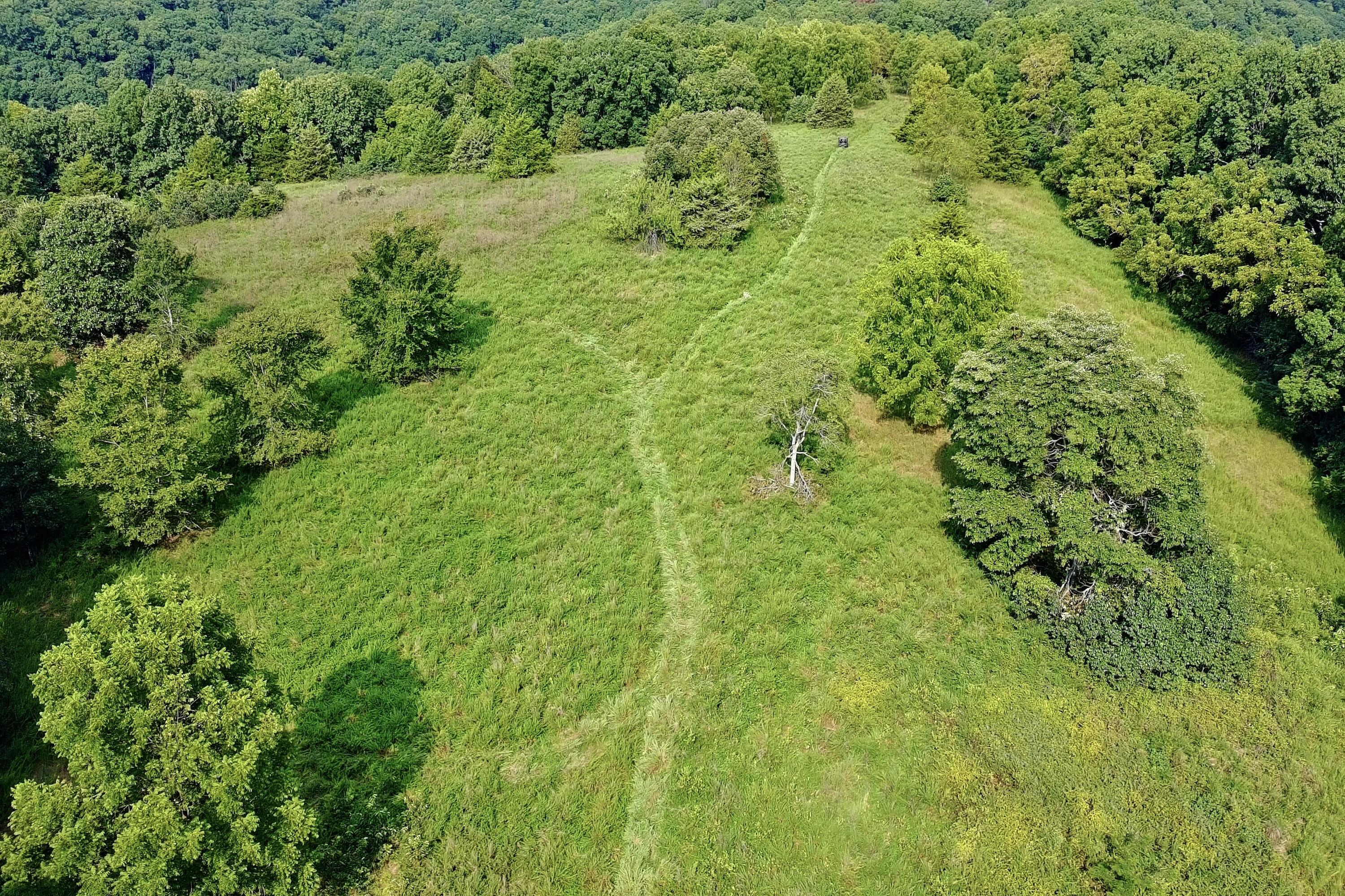 Photo 3 - Land for sale – 000  Red Bridge Rd   Ozark, MO