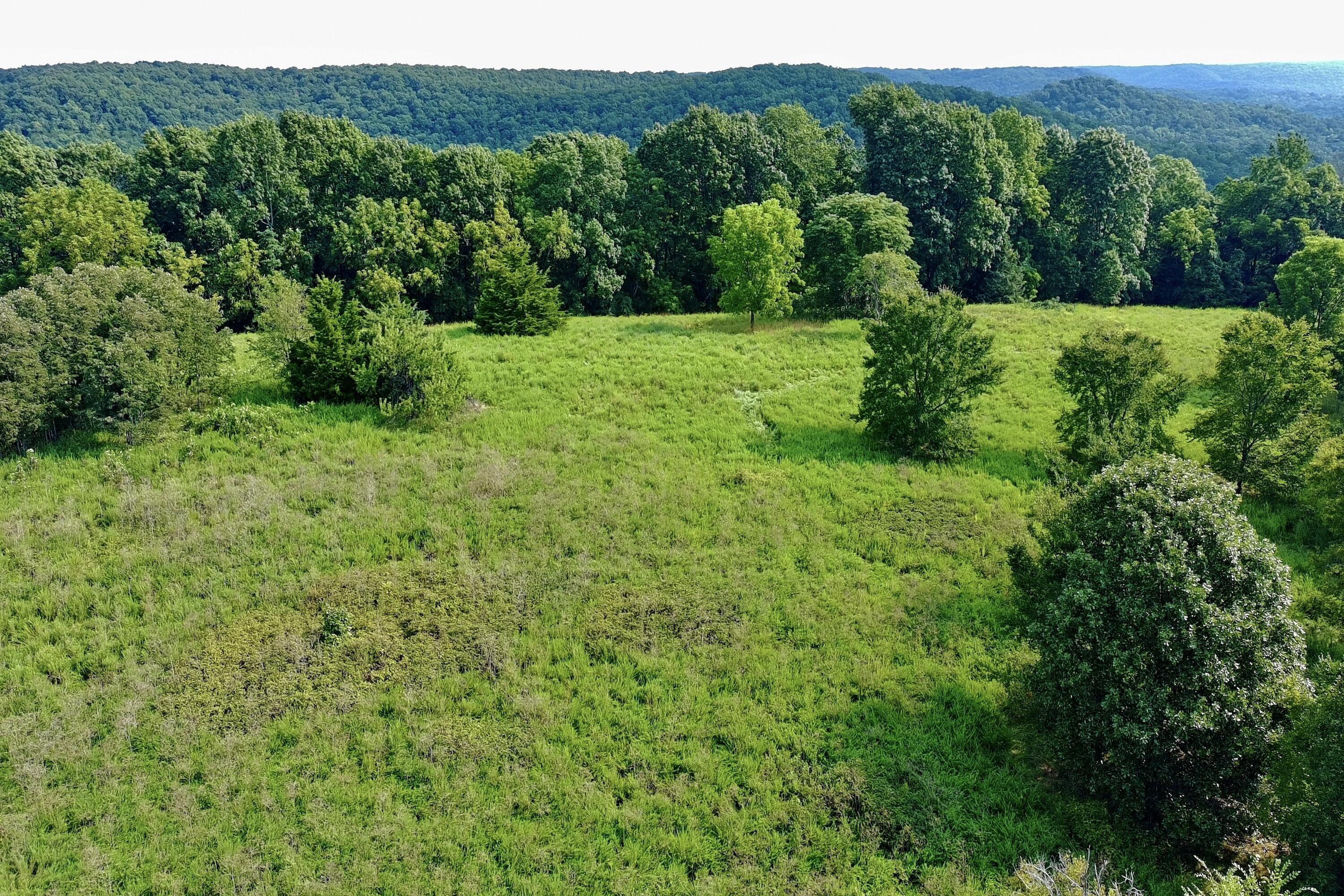 Photo 15 - Land for sale – 000  Red Bridge Rd   Ozark, MO