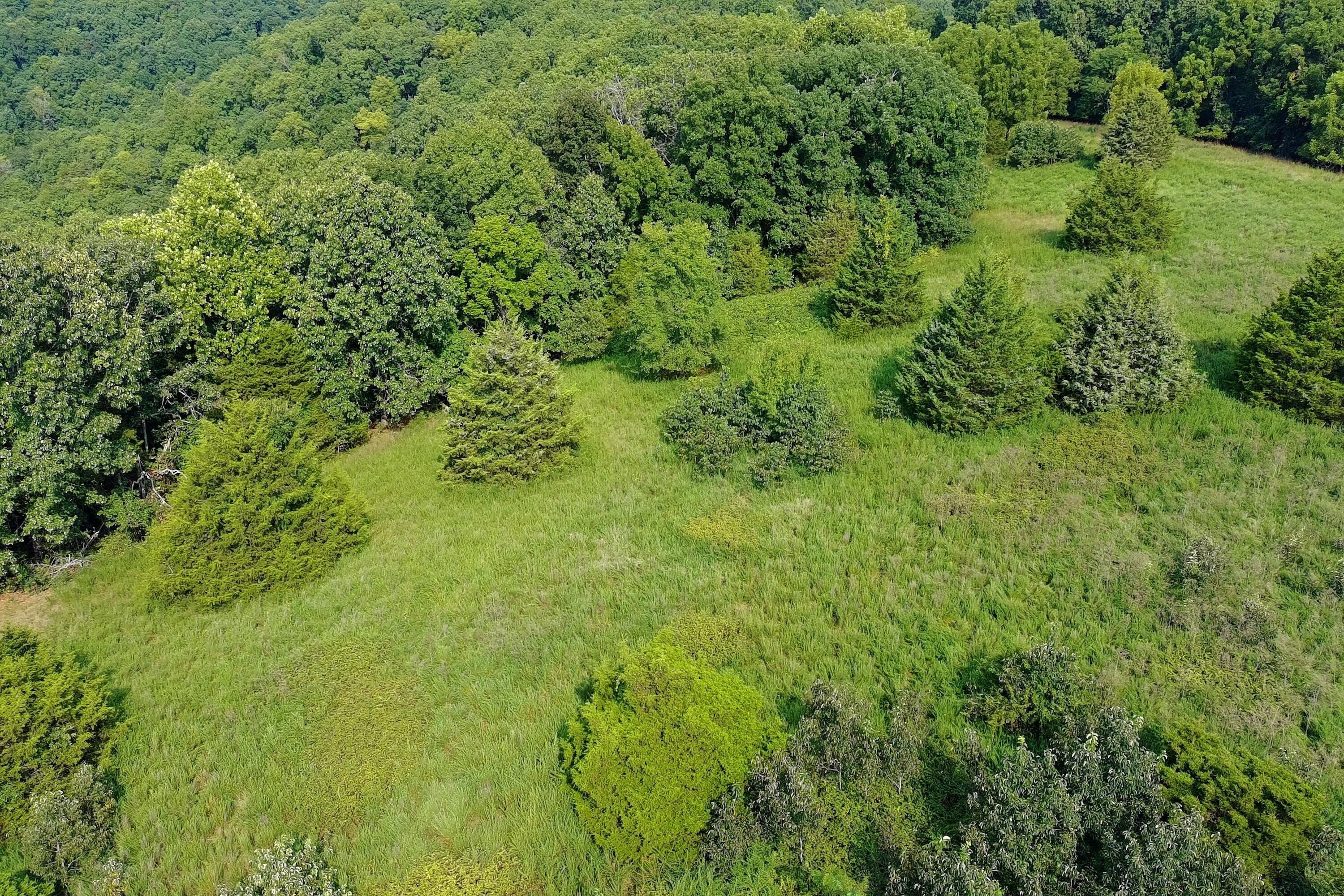 Photo 4 - Land for sale – 000  Red Bridge Rd   Ozark, MO