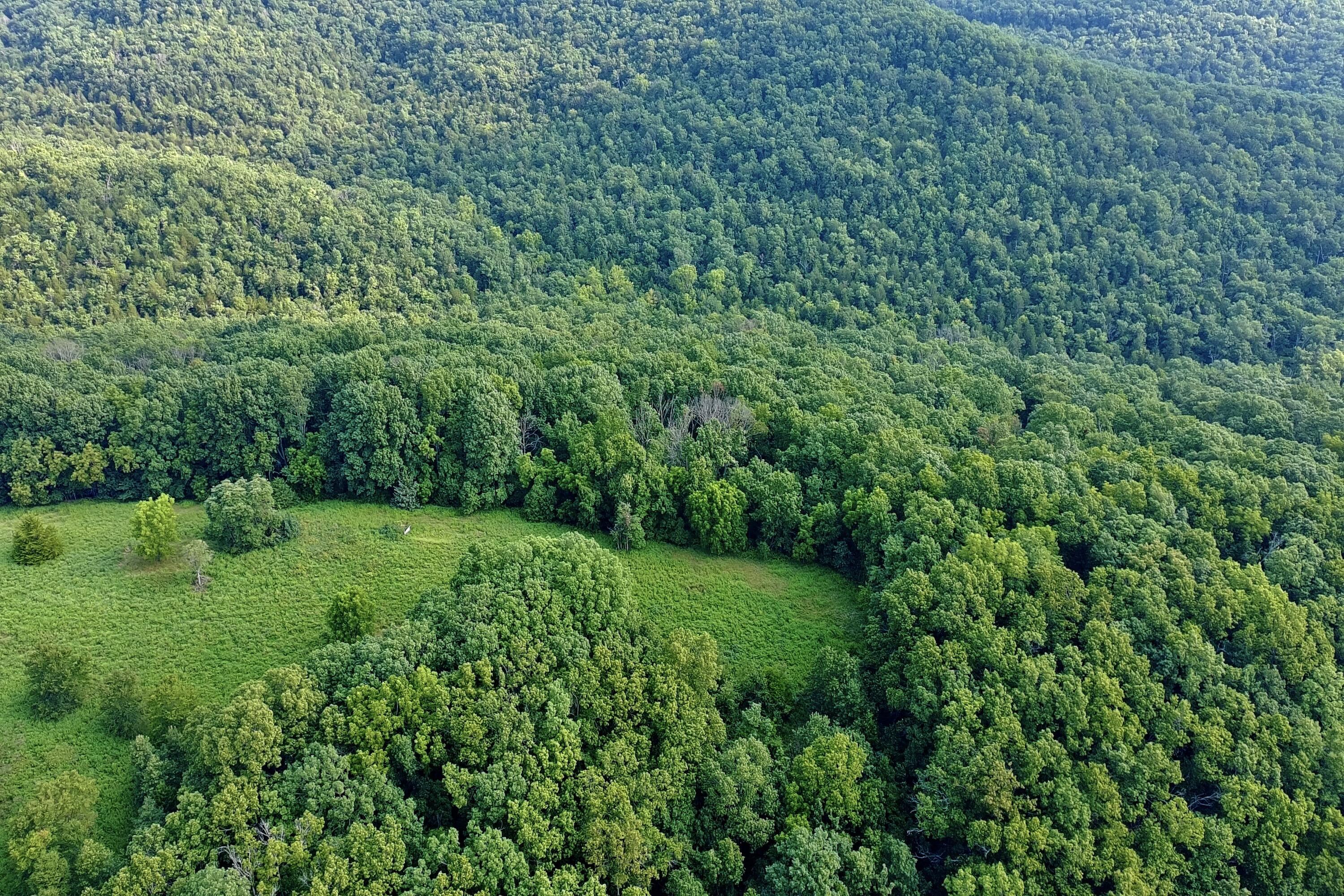 Photo 8 - Land for sale – 000  Red Bridge Rd   Ozark, MO